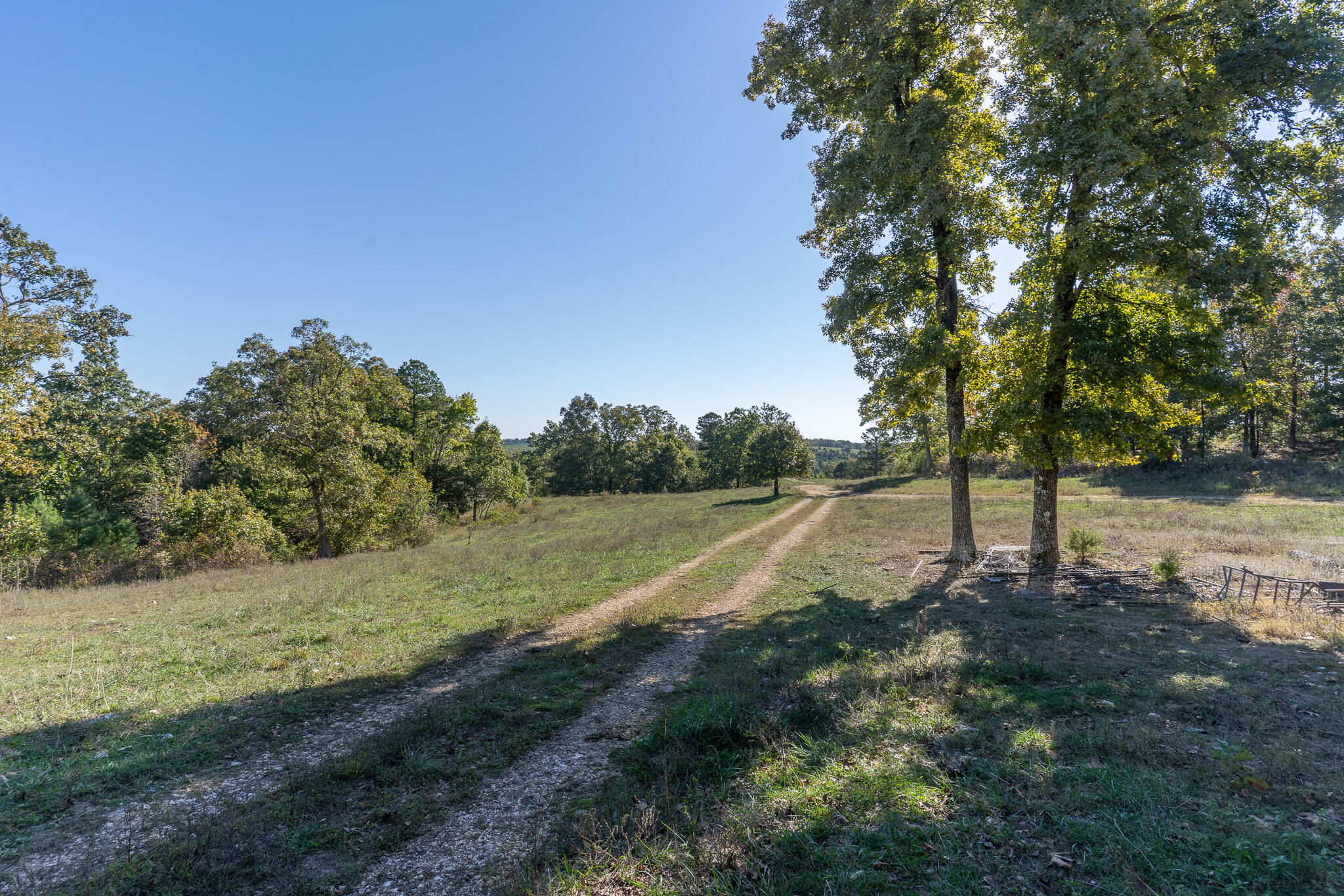 Photo 3 - Land for sale – 000  County Road 1130   Willow Springs, MO