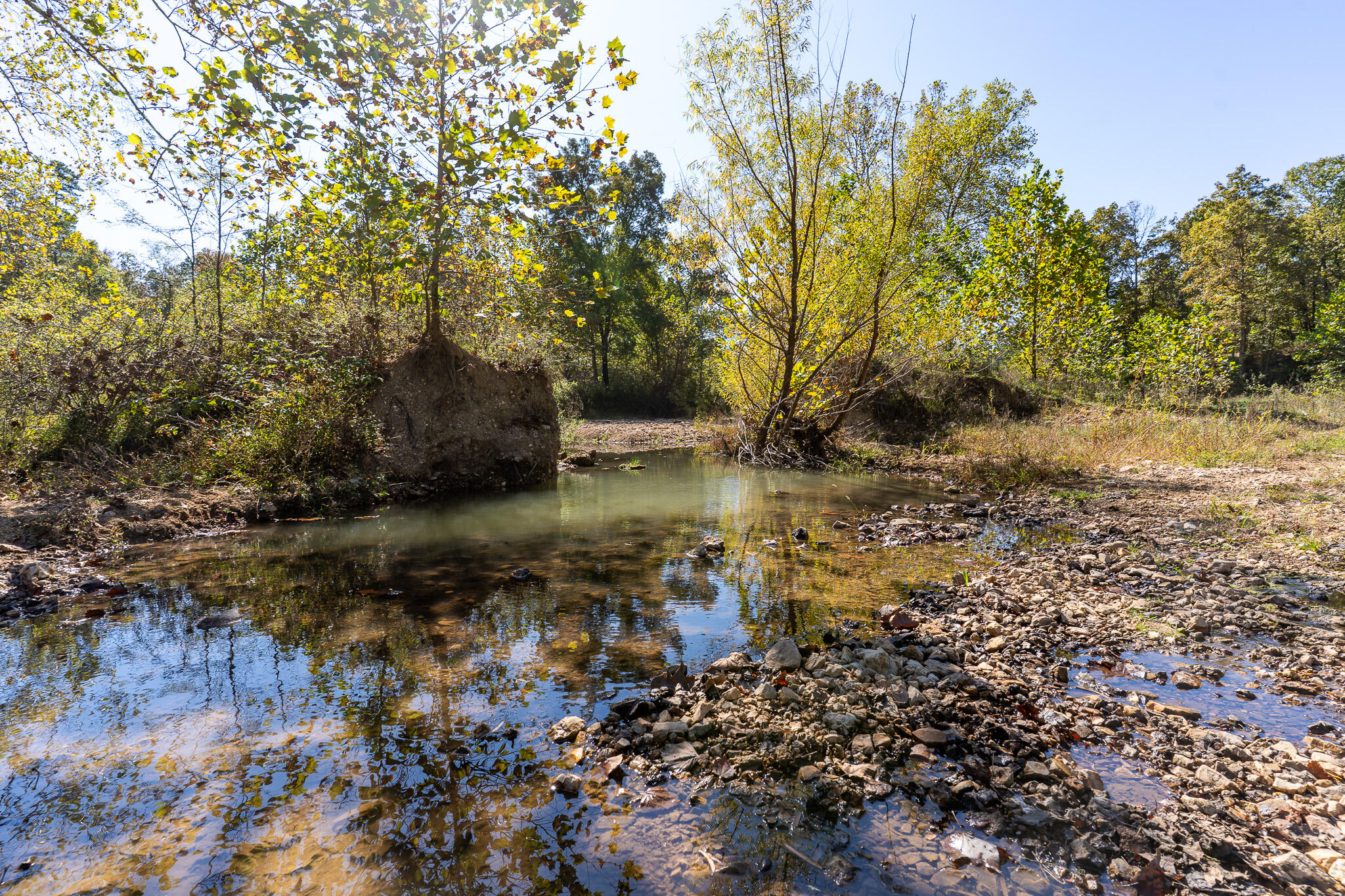 Photo 19 - Land for sale – 000  County Road 1130   Willow Springs, MO