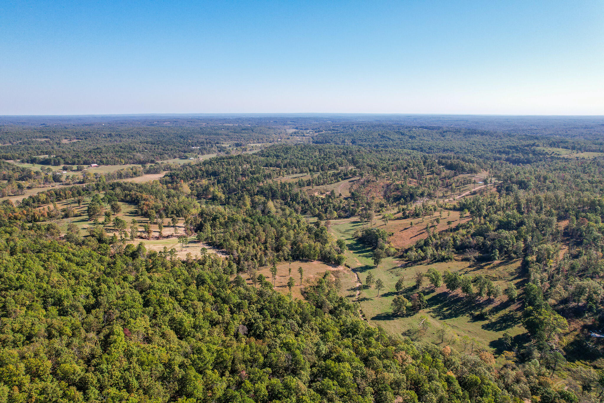 Photo 27 - Land for sale – 000  County Road 1130   Willow Springs, MO