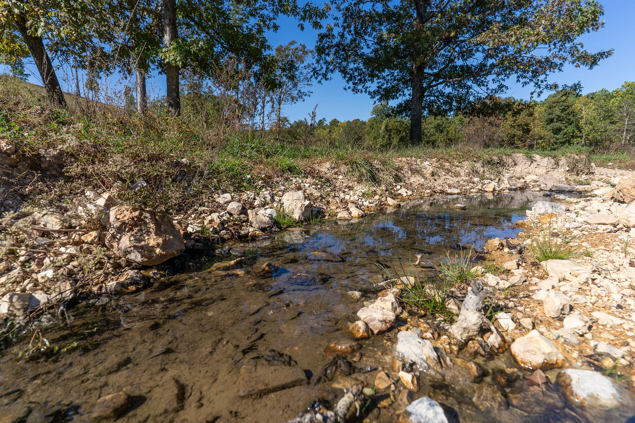 Photo 10 - Land for sale – 000  County Road 1130   Willow Springs, MO