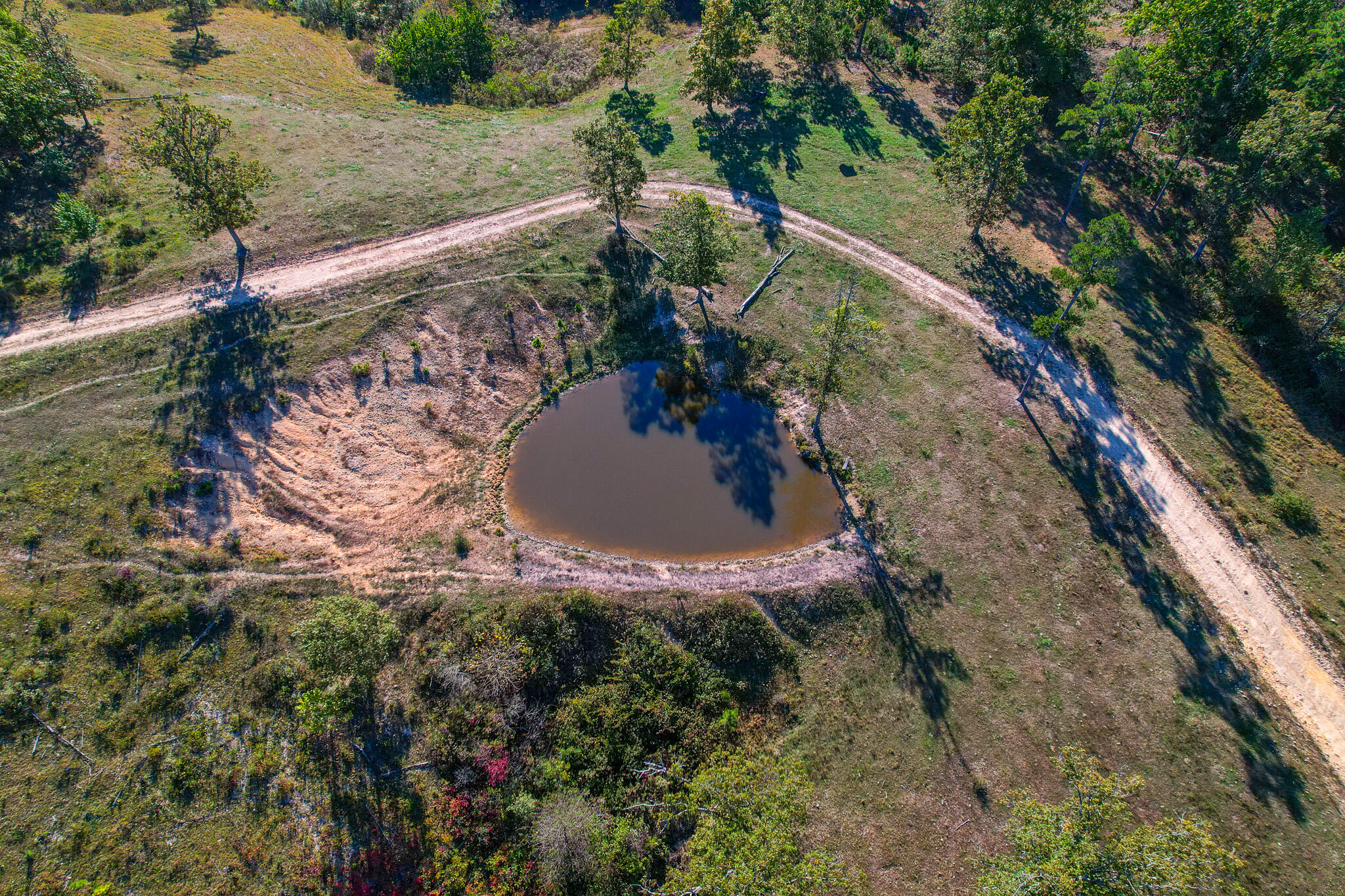 Photo 23 - Land for sale – 000  County Road 1130   Willow Springs, MO