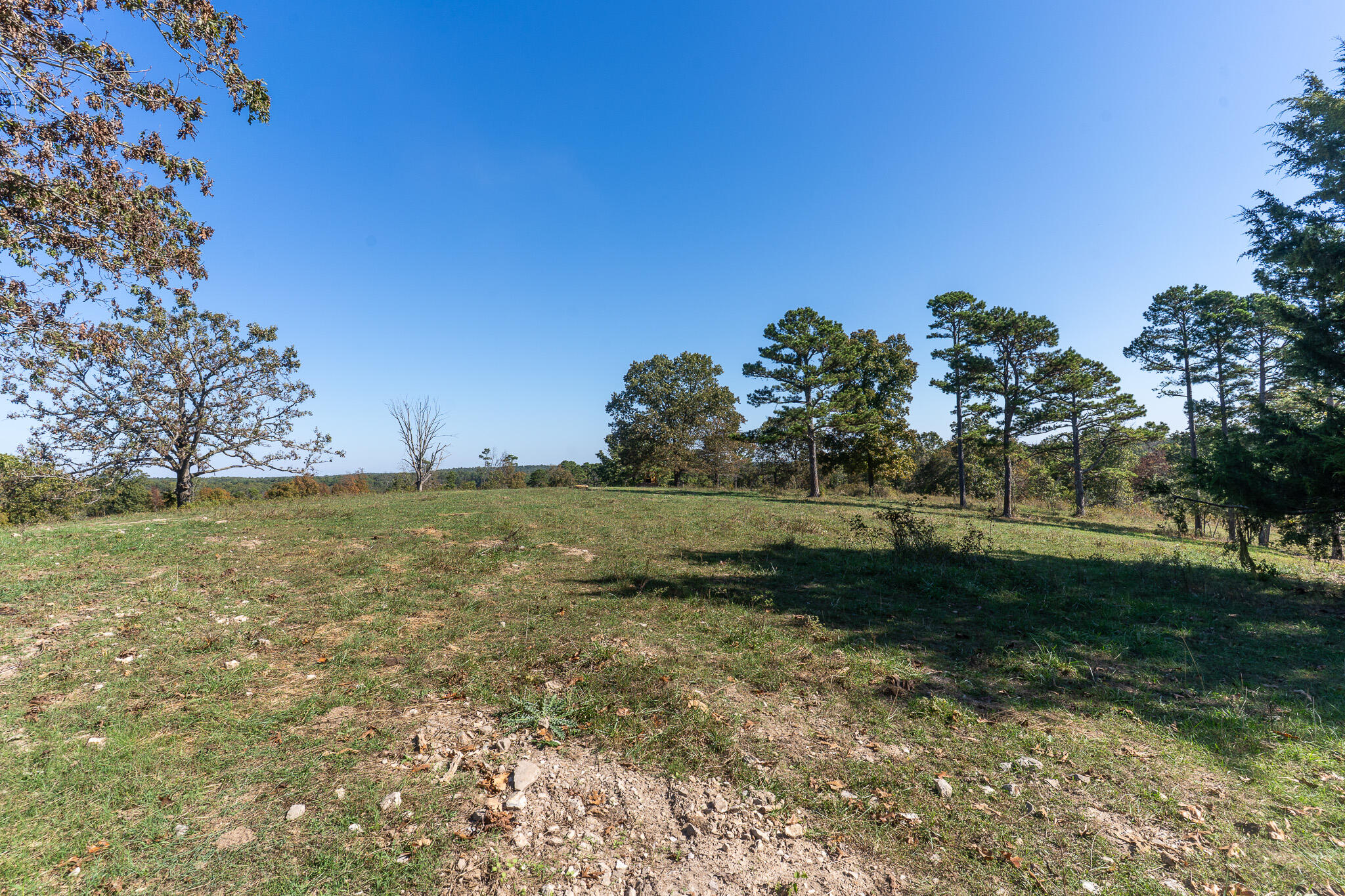 Photo 11 - Land for sale – 000  County Road 1130   Willow Springs, MO