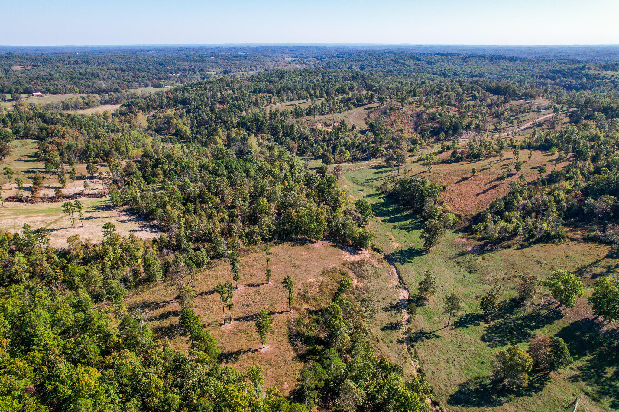 Photo 29 - Land for sale – 000  County Road 1130   Willow Springs, MO