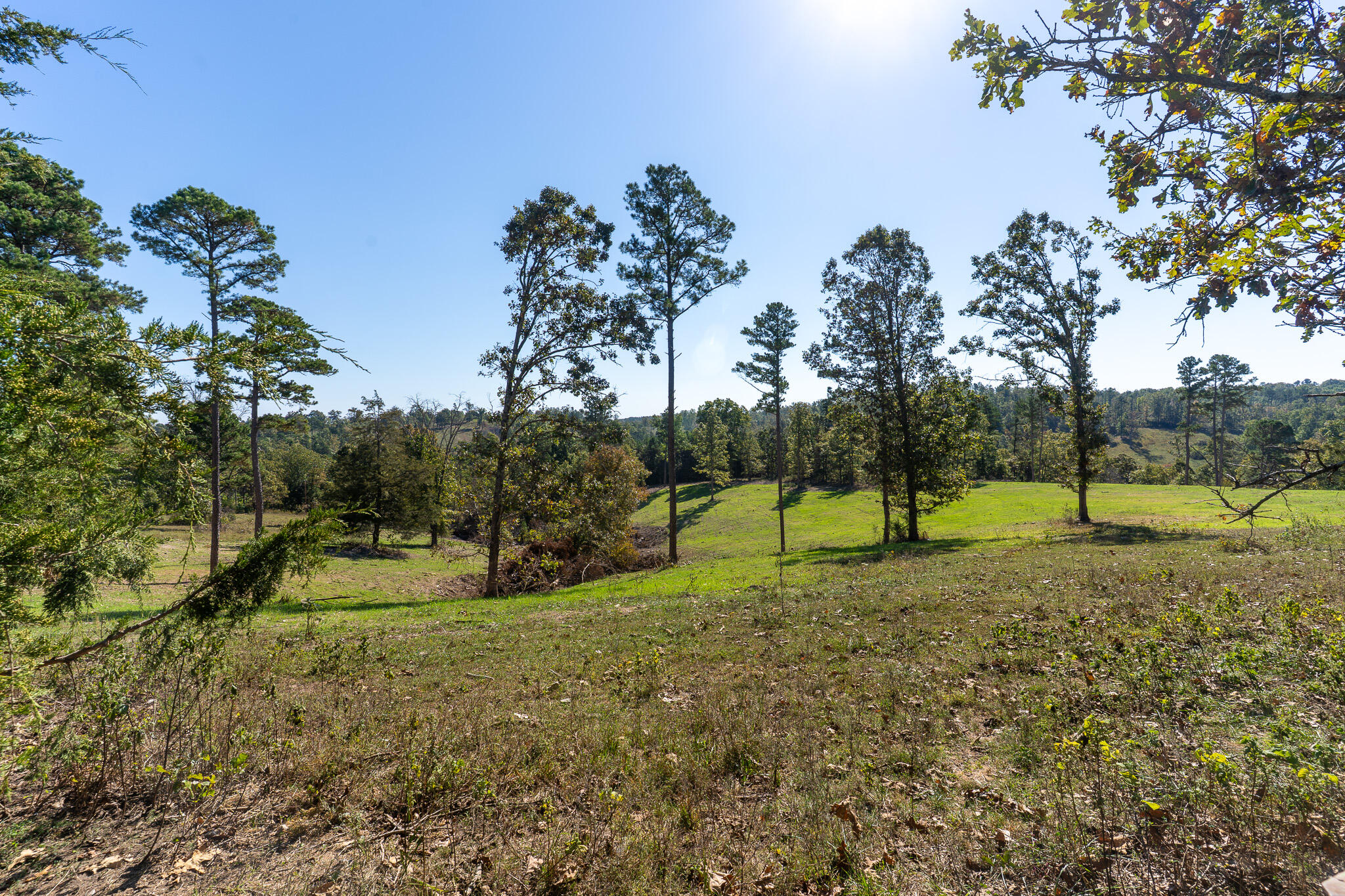 Photo 12 - Land for sale – 000  County Road 1130   Willow Springs, MO