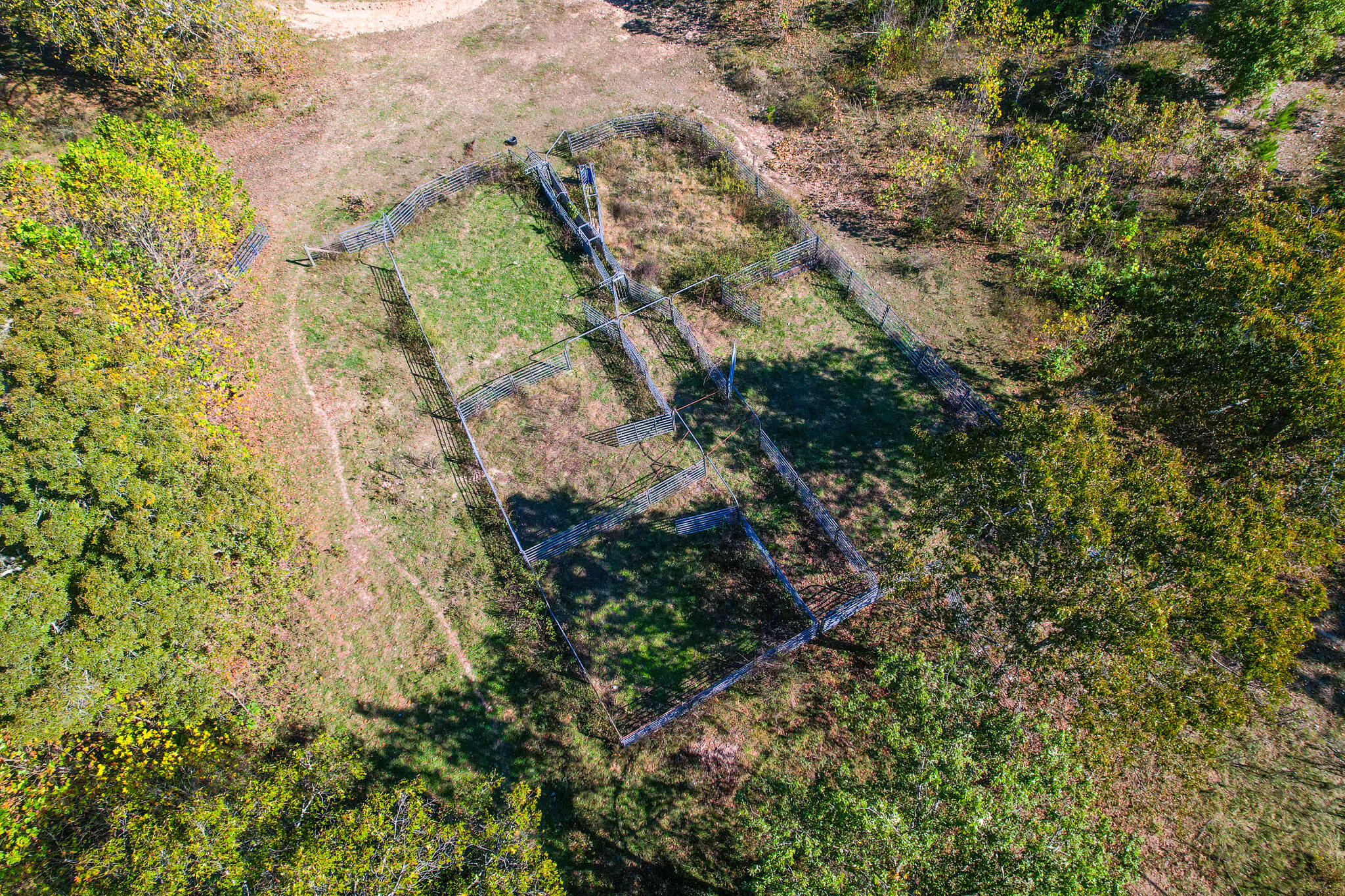 Photo 34 - Land for sale – 000  County Road 1130   Willow Springs, MO