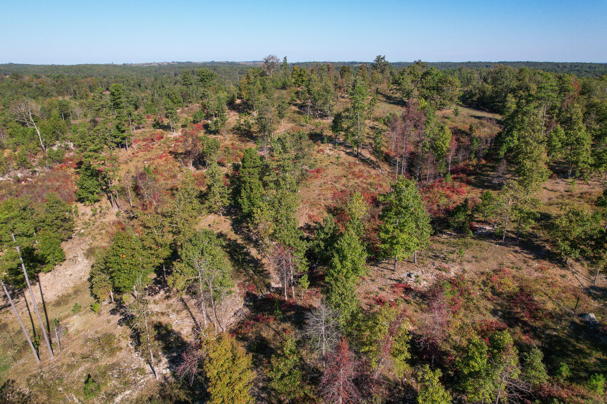 Photo 24 - Land for sale – 000  County Road 1130   Willow Springs, MO