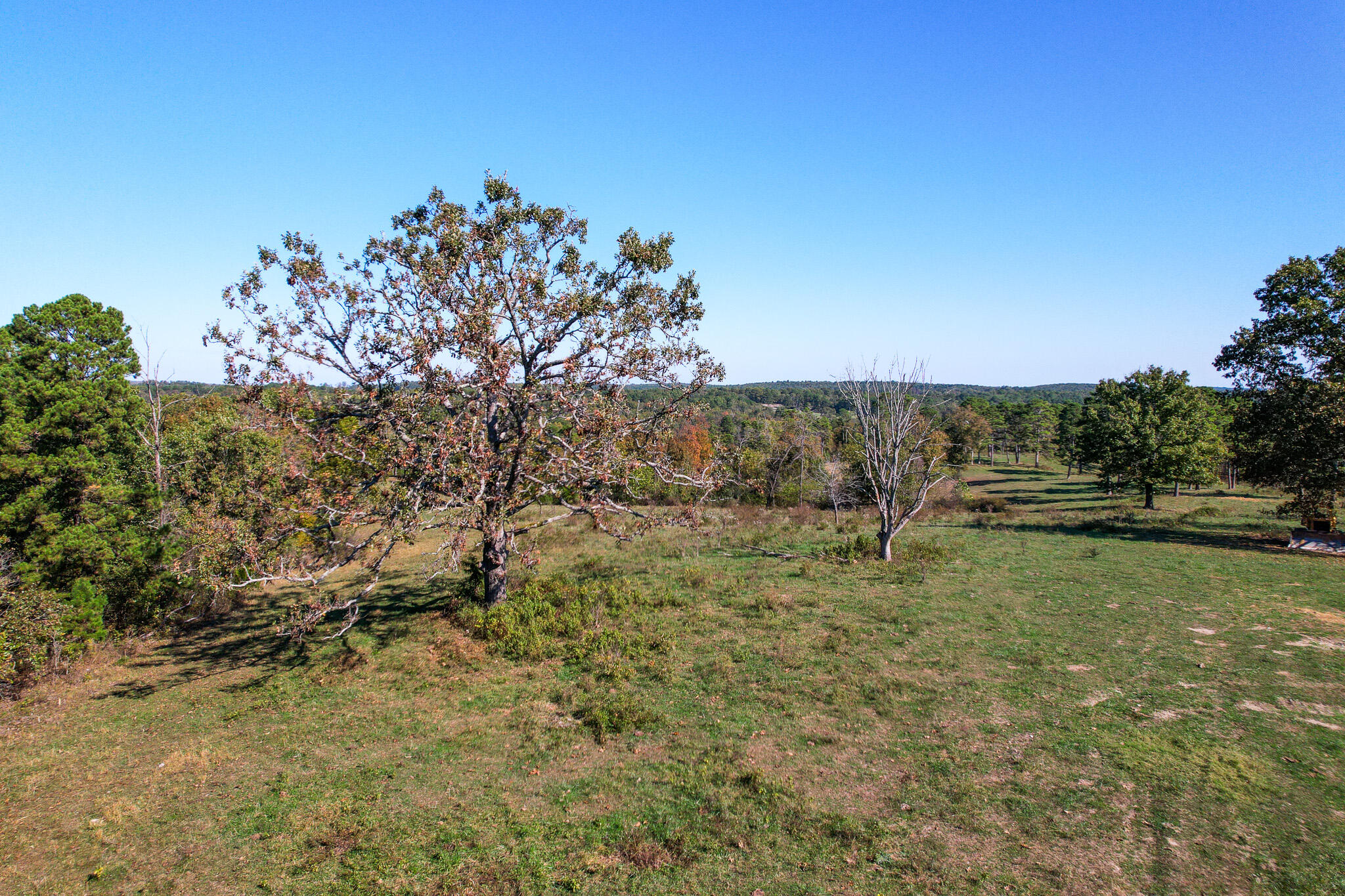 Photo 31 - Land for sale – 000  County Road 1130   Willow Springs, MO