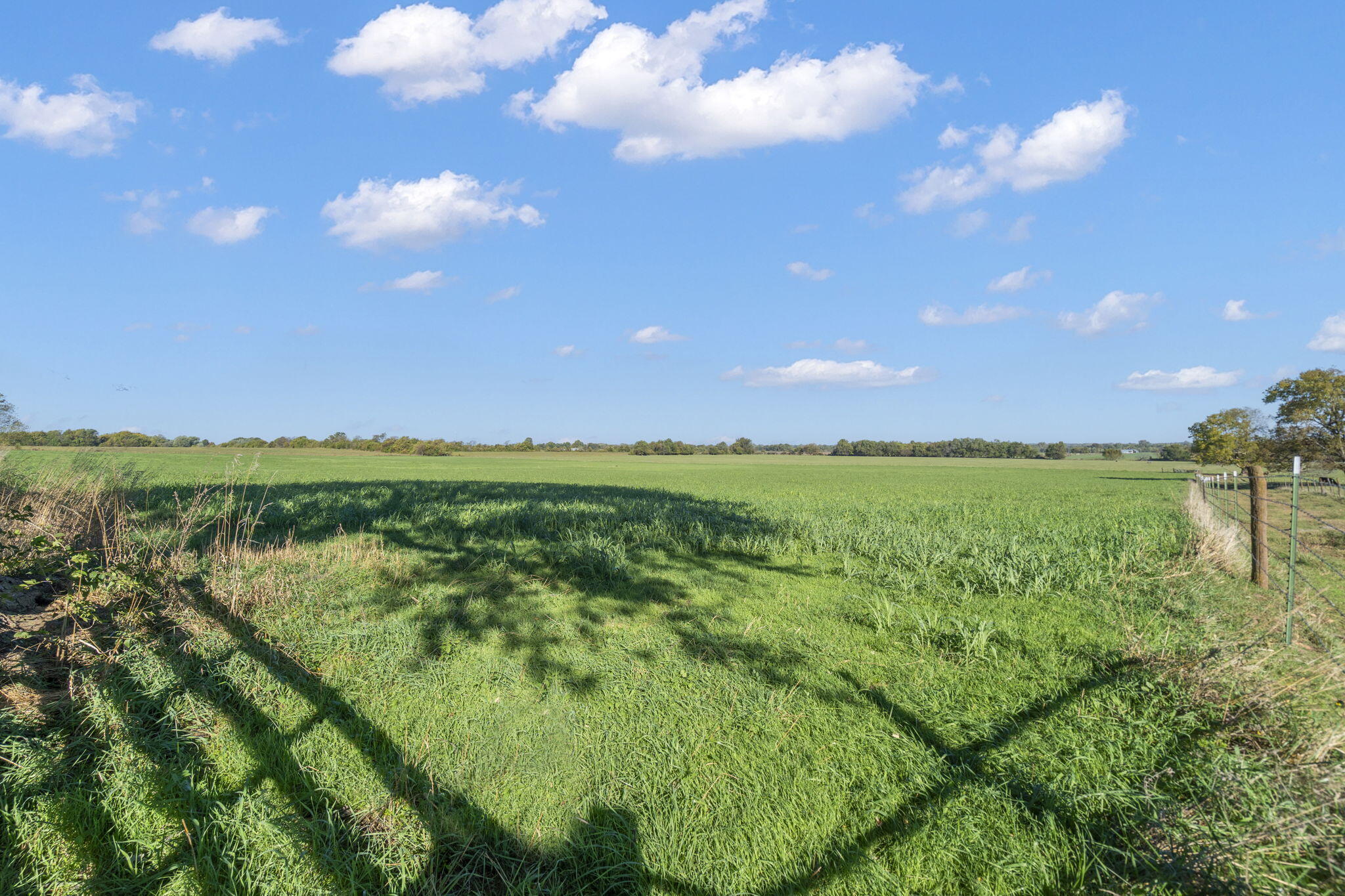 Photo 7 - Land for sale – 000 E Kime Street  Willard, MO