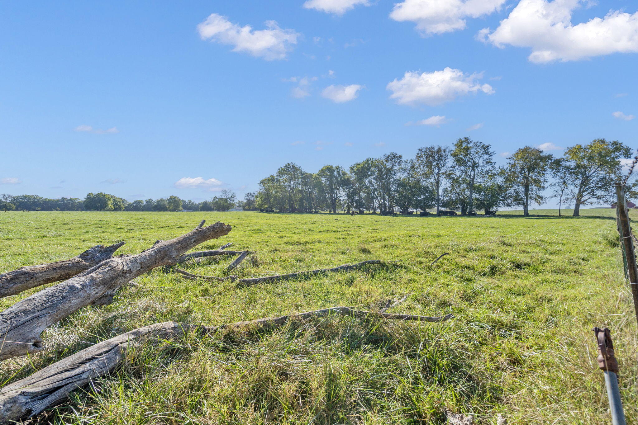 Photo 8 - Land for sale – 000 E Kime Street  Willard, MO