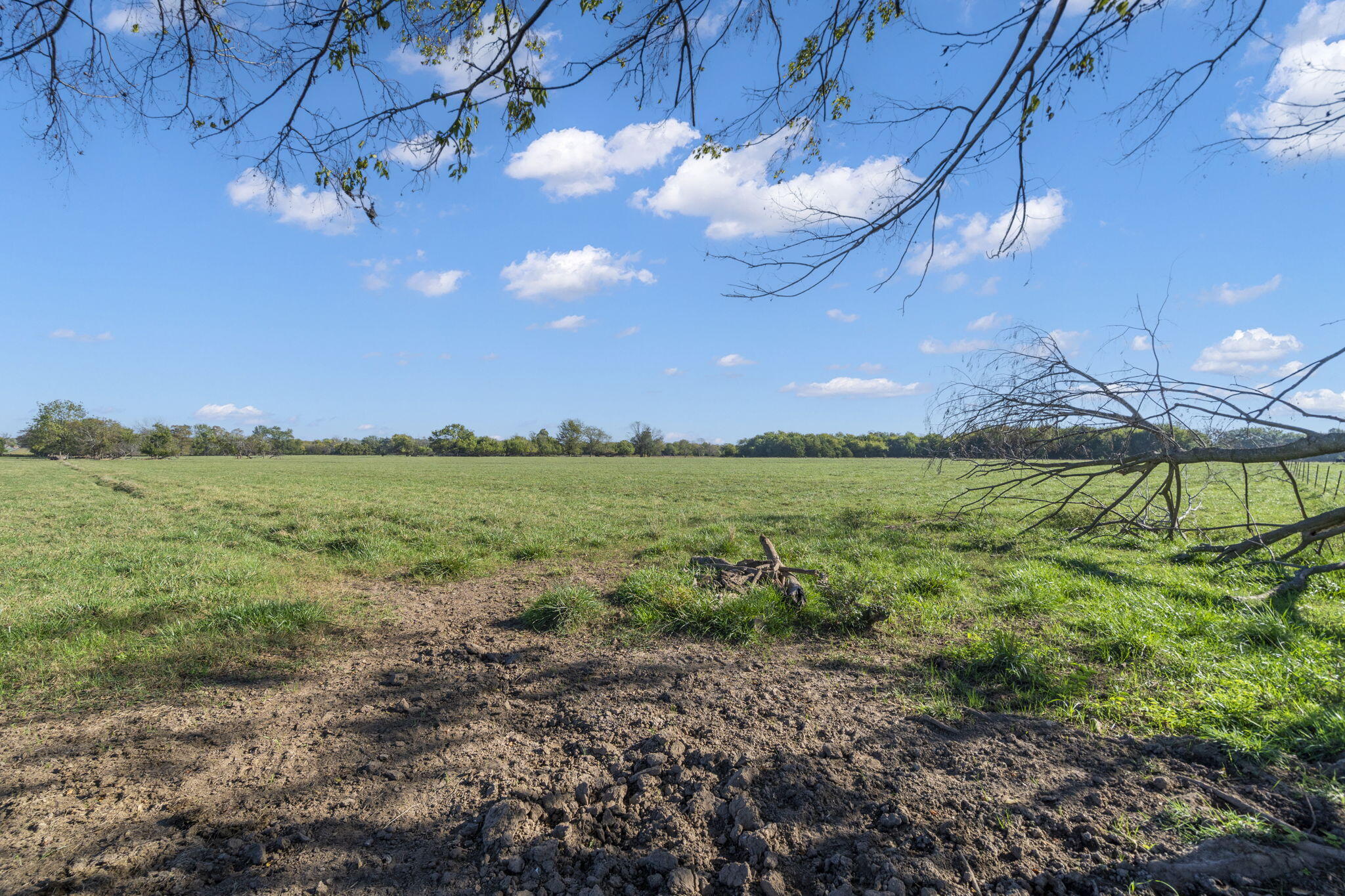 Photo 10 - Land for sale – 000 E Kime Street  Willard, MO