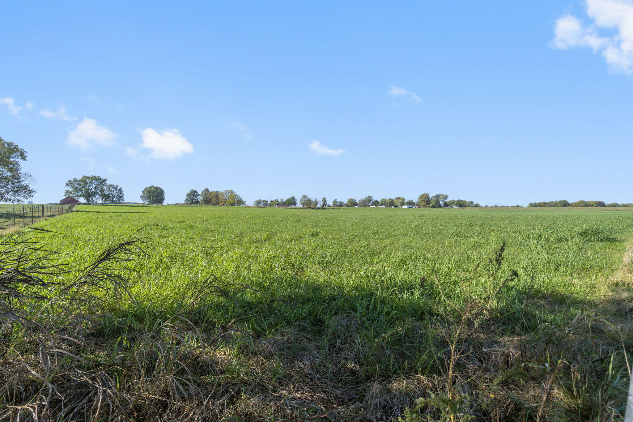 Photo 11 - Land for sale – 000 E Kime Street  Willard, MO
