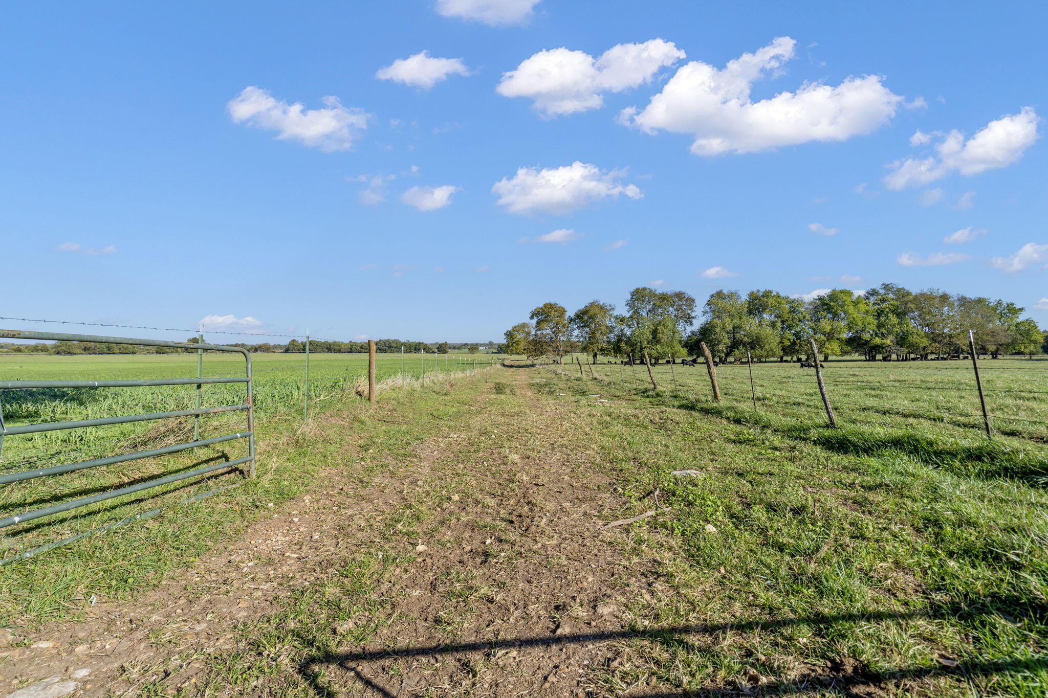 Photo 6 - Land for sale – 000 E Kime Street  Willard, MO