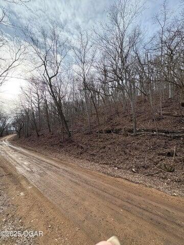 Photo 15 - Land for sale – 18284 B-1  Gazelle Drive  Neosho, MO