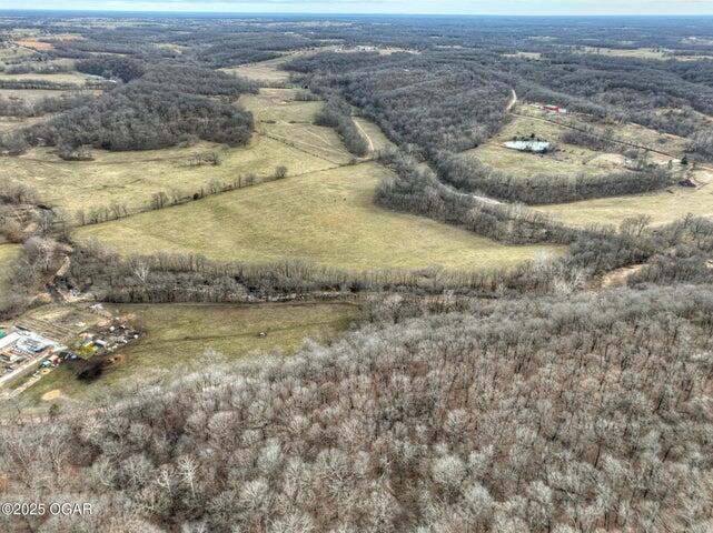 Photo 10 - Land for sale – 18284 B-1  Gazelle Drive  Neosho, MO