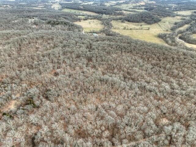 Photo 7 - Land for sale – 18284 B-1  Gazelle Drive  Neosho, MO