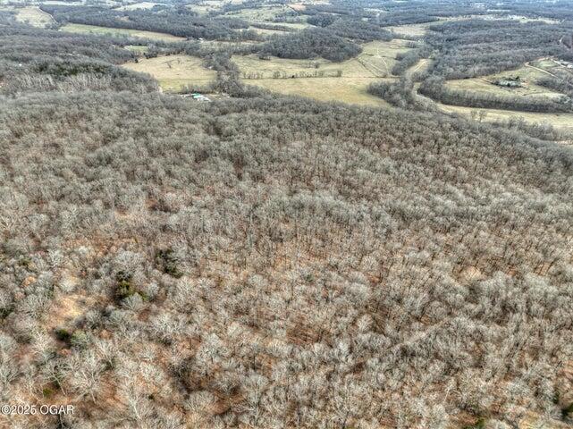 Photo 8 - Land for sale – 18284 B-1  Gazelle Drive  Neosho, MO