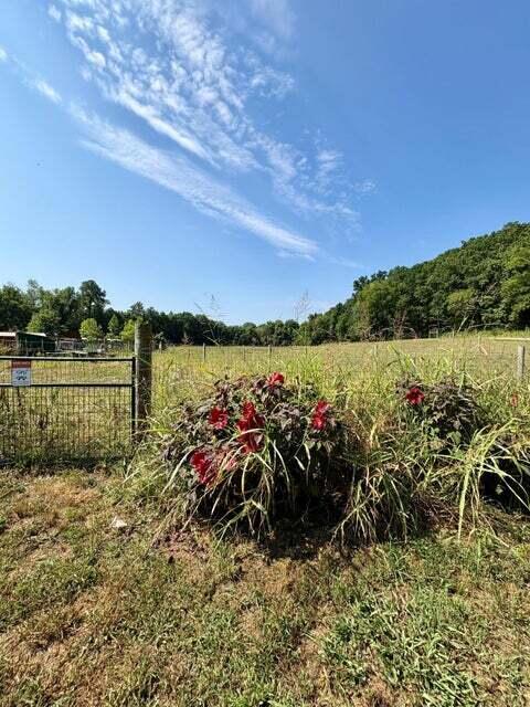 Photo 25 - Land for sale – 18284 B-2  Gazelle Drive  Neosho, MO