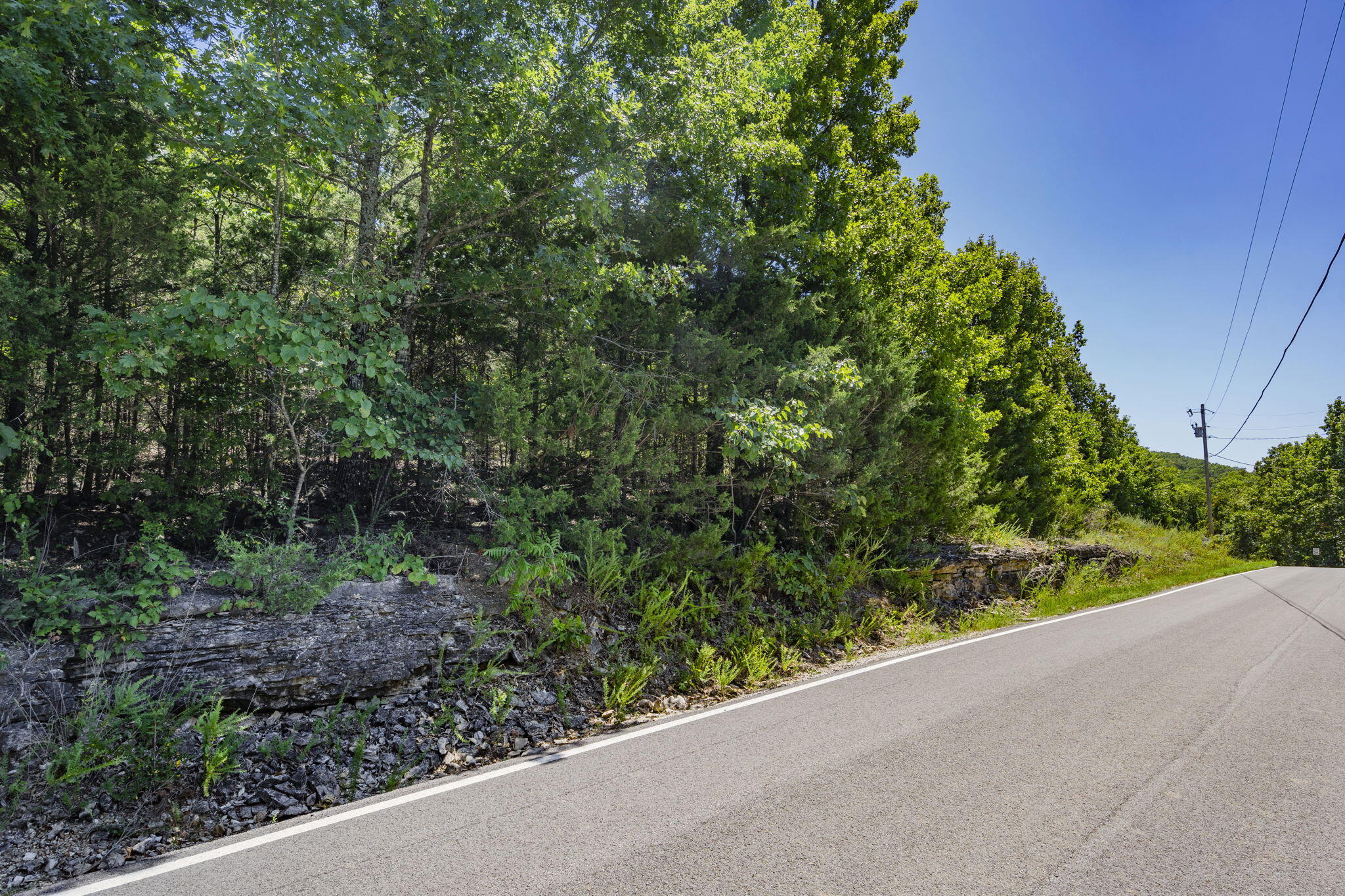 Photo 3 - Land for sale – Lot 13  Blue Heron Shores   Lampe, MO