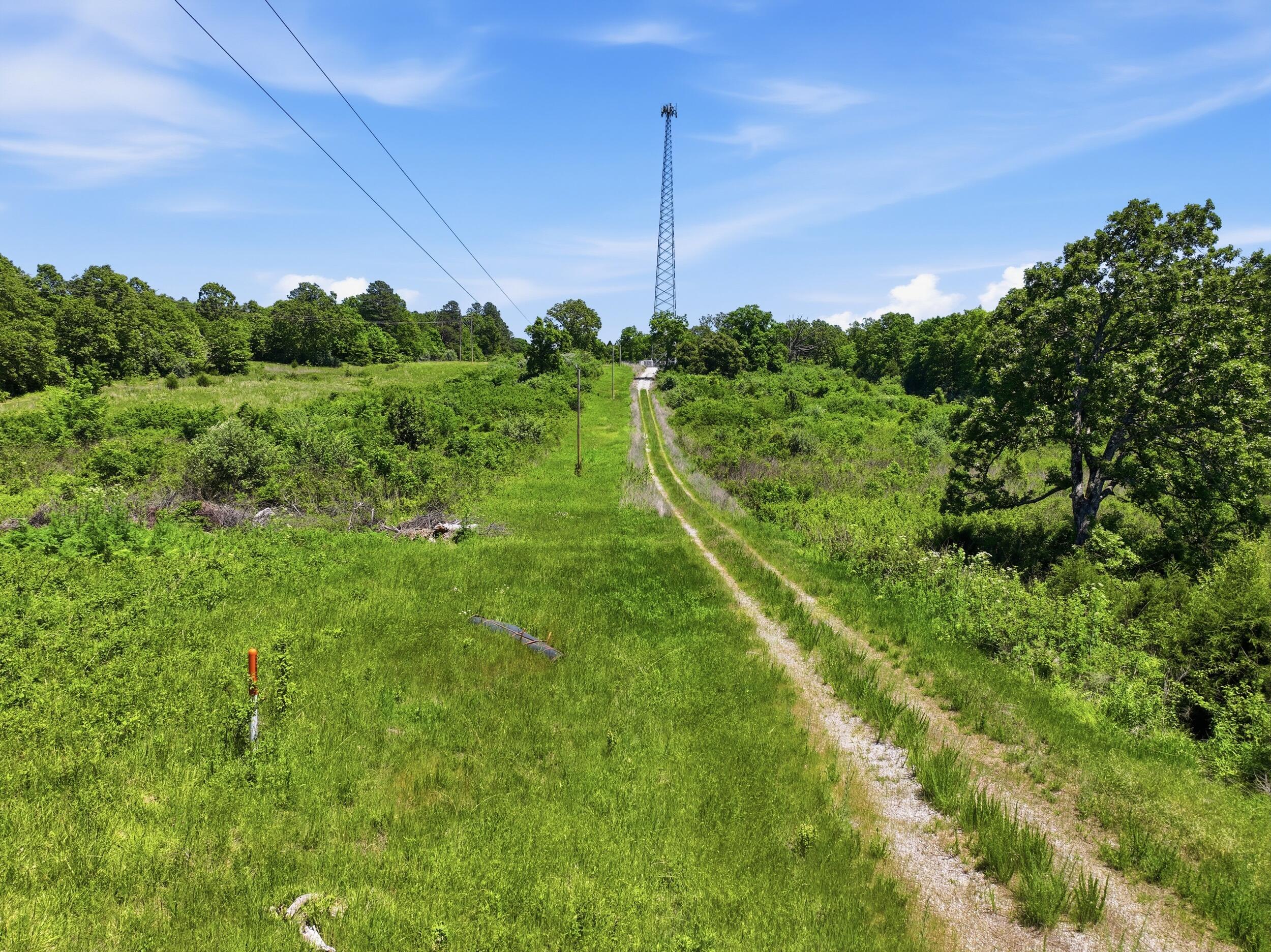 Photo 16 - Land for sale – 2810  County Road 2390   Mountain View, MO
