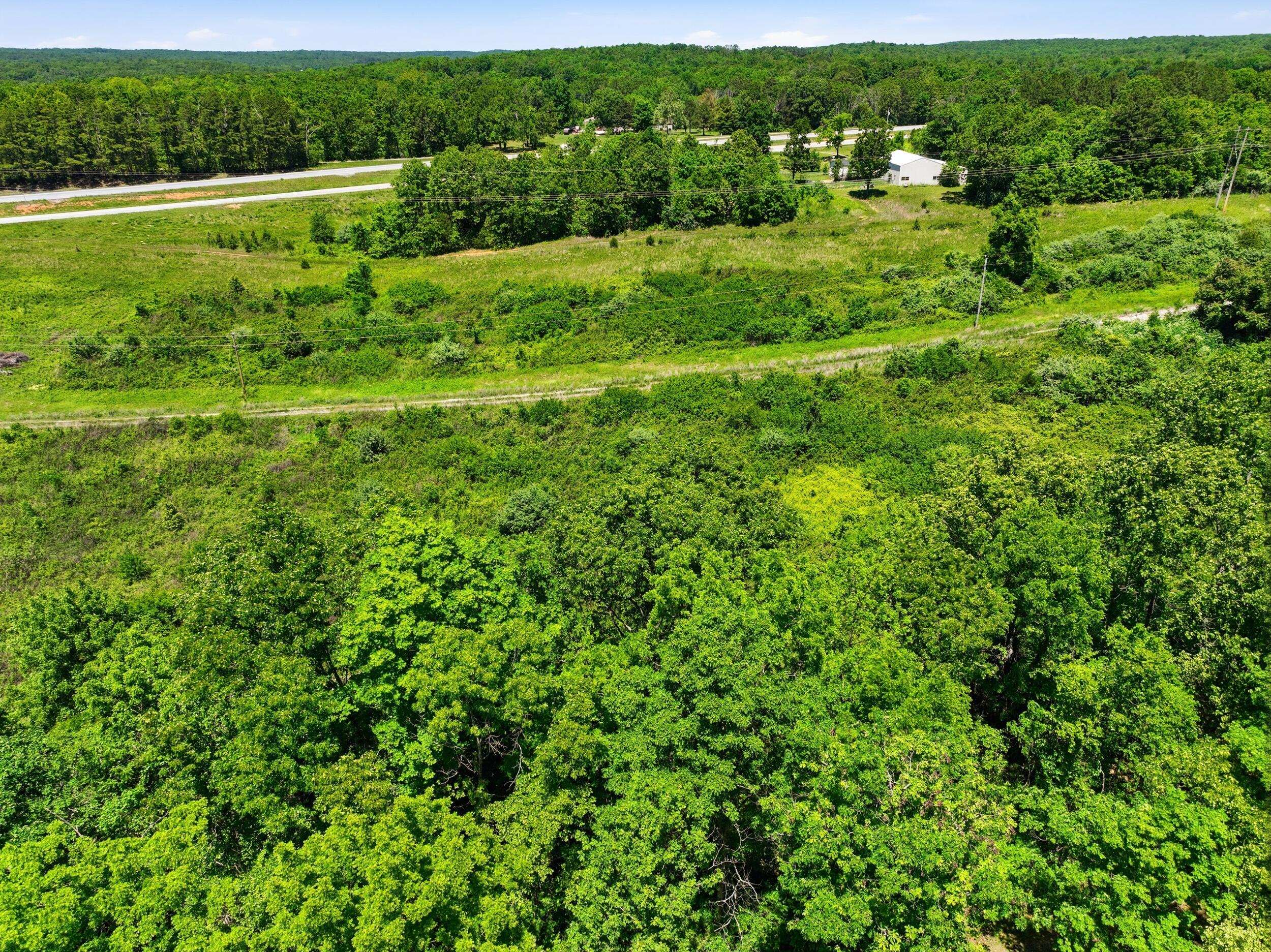 Photo 5 - Land for sale – 2810  County Road 2390   Mountain View, MO