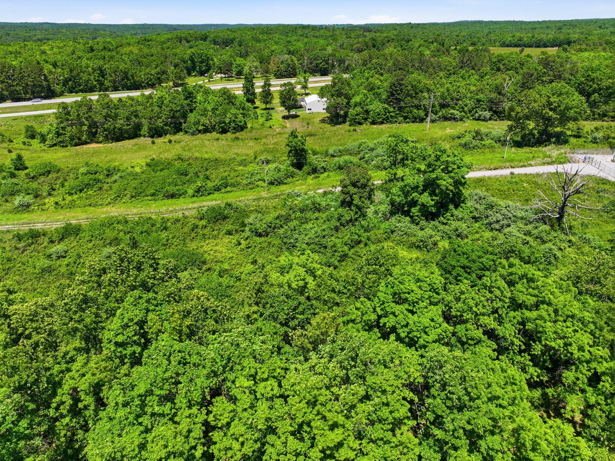 Photo 6 - Land for sale – 2810  County Road 2390   Mountain View, MO