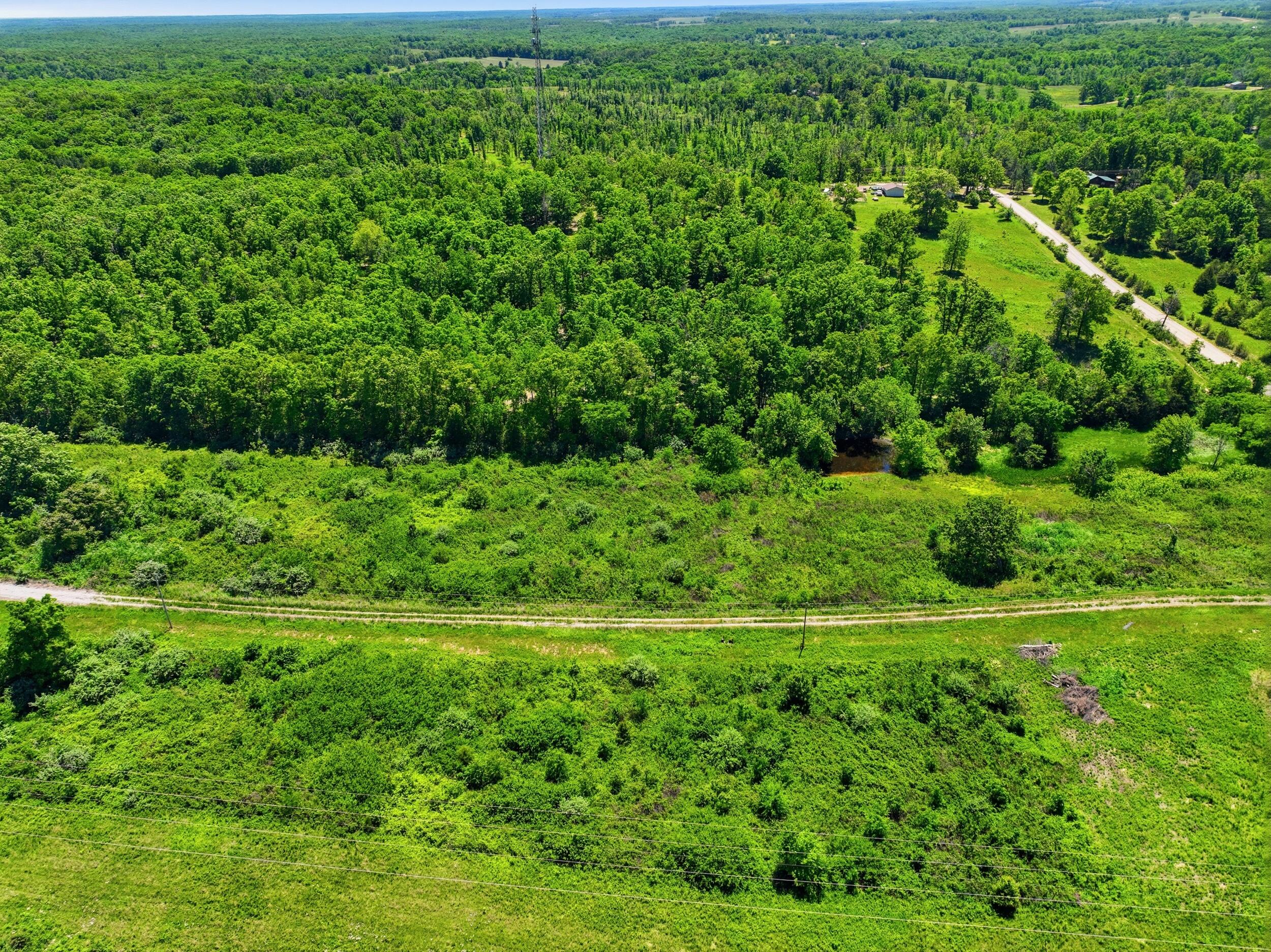 Photo 14 - Land for sale – 2810  County Road 2390   Mountain View, MO
