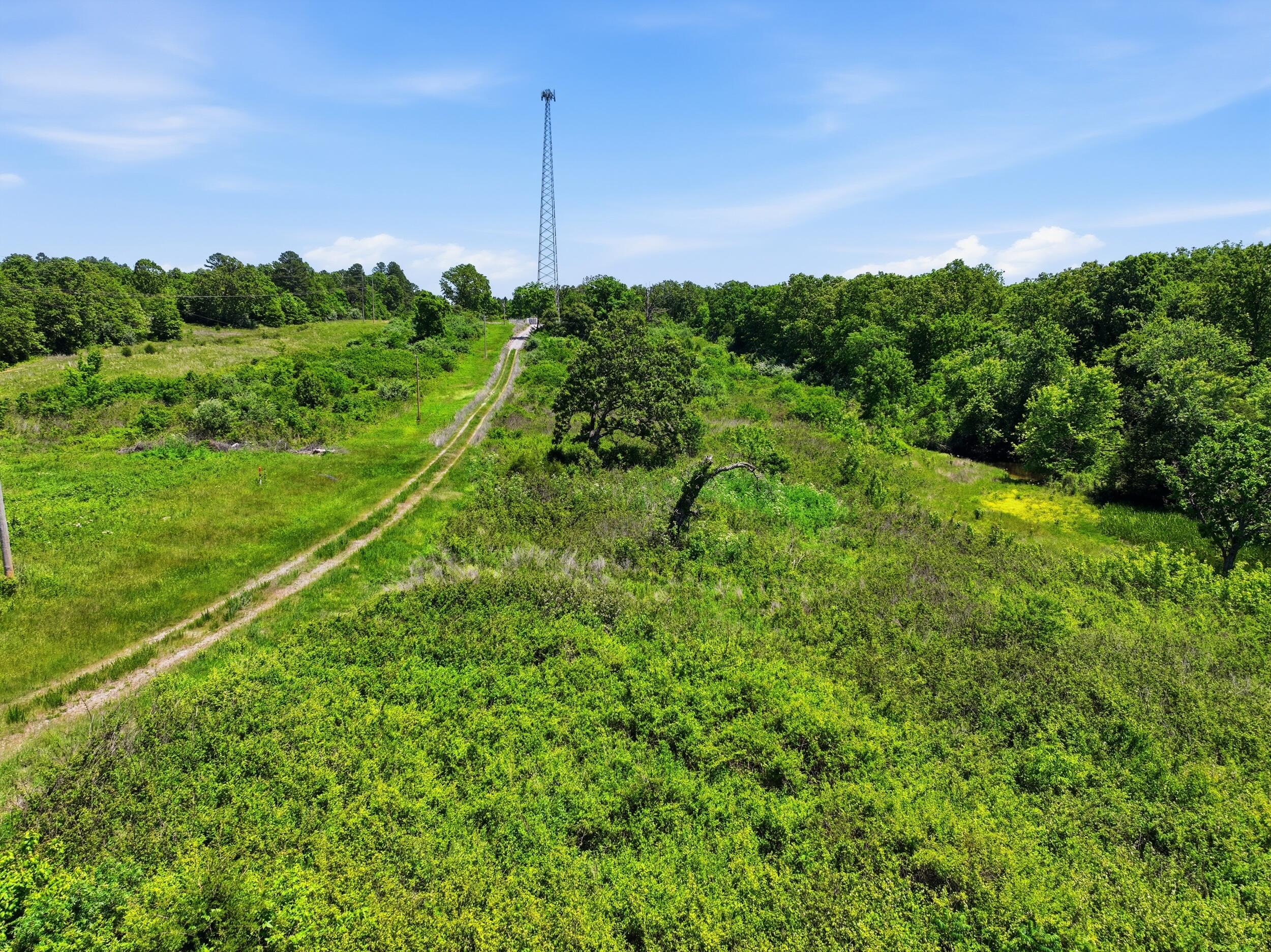 Land for sale – 2810  County Road 2390   Mountain View, MO