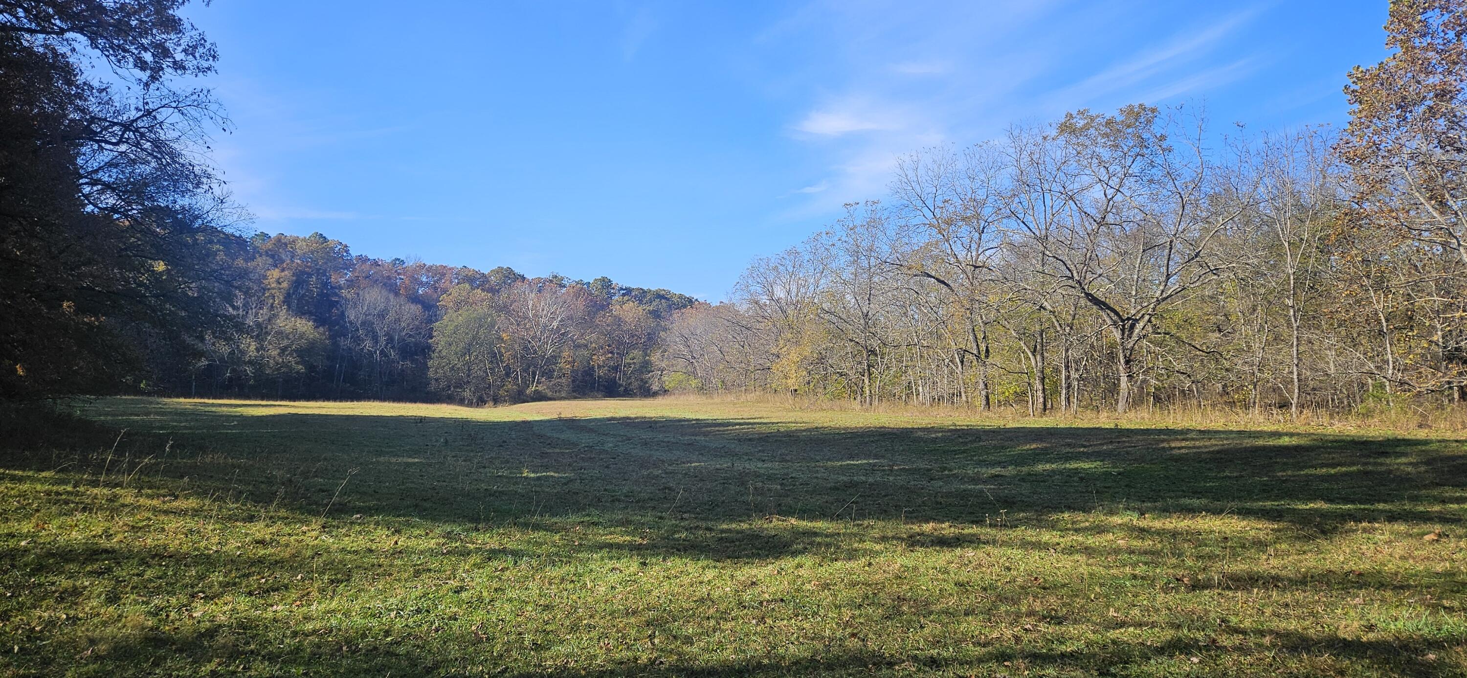 Photo 59 - Farm for sale – 205  County Road 6550   Salem, MO