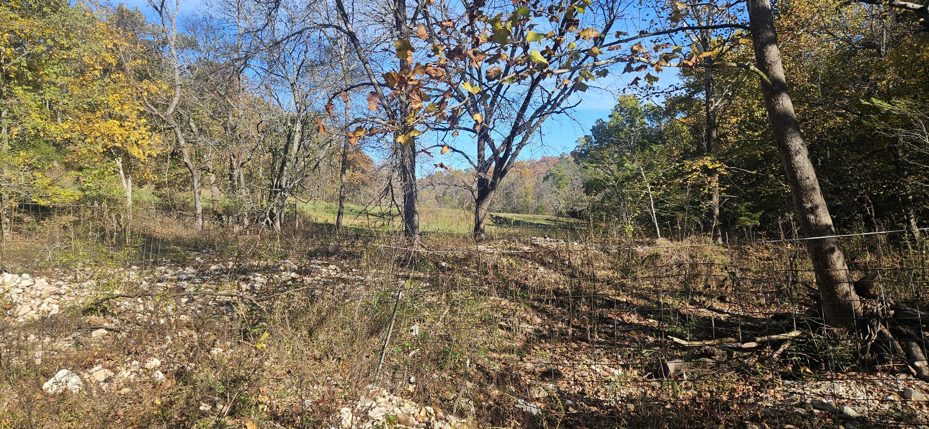 Photo 58 - Farm for sale – 205  County Road 6550   Salem, MO