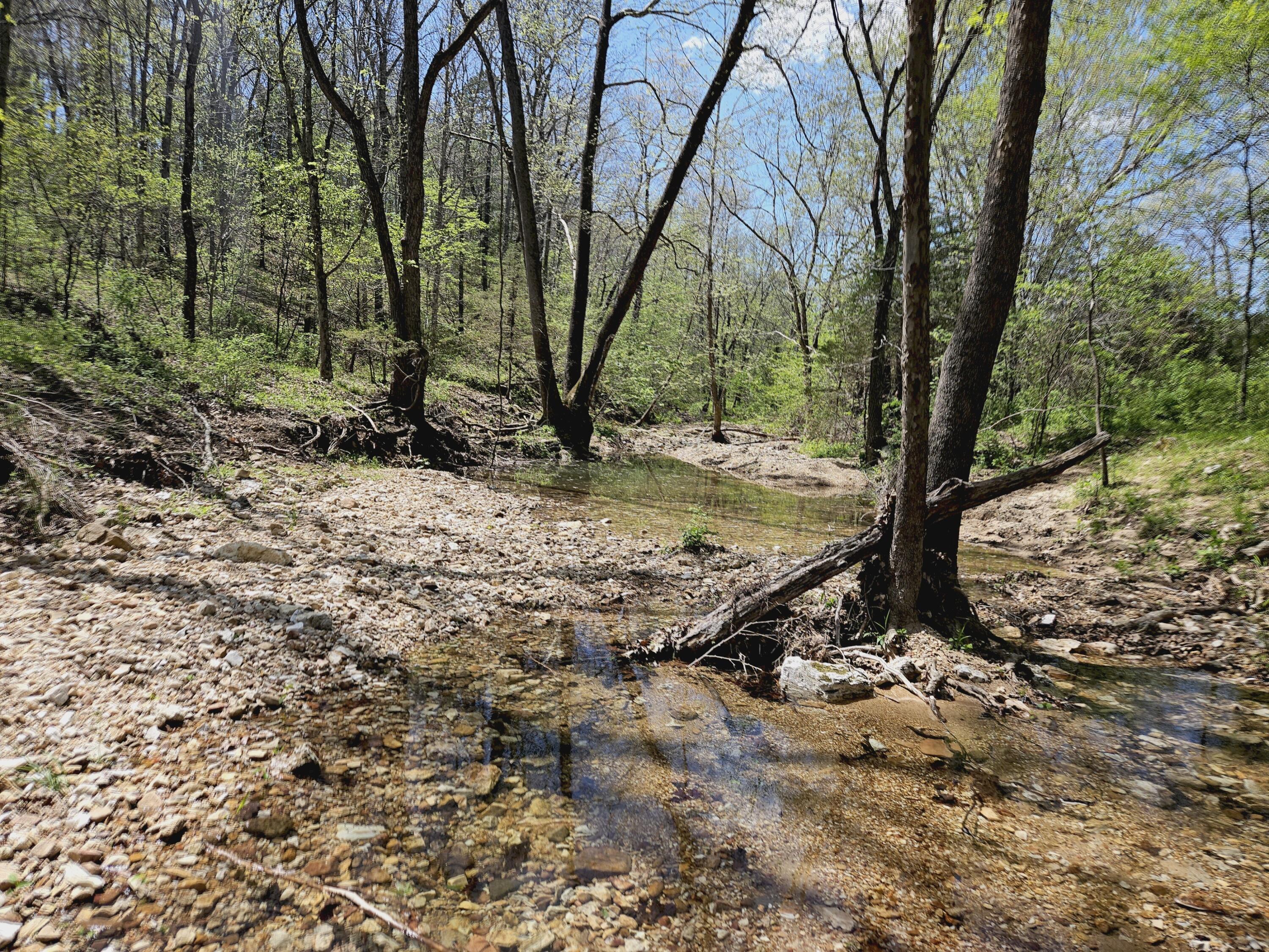 Photo 88 - Farm for sale – 205  County Road 6550   Salem, MO