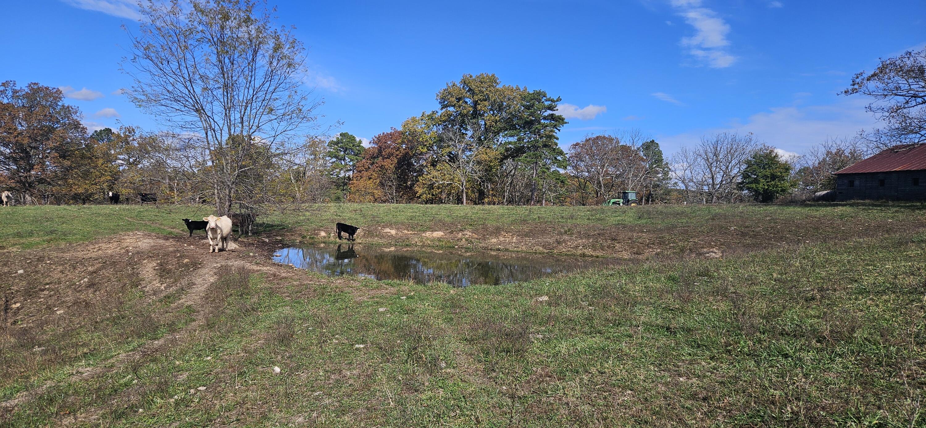 Photo 51 - Farm for sale – 205  County Road 6550   Salem, MO