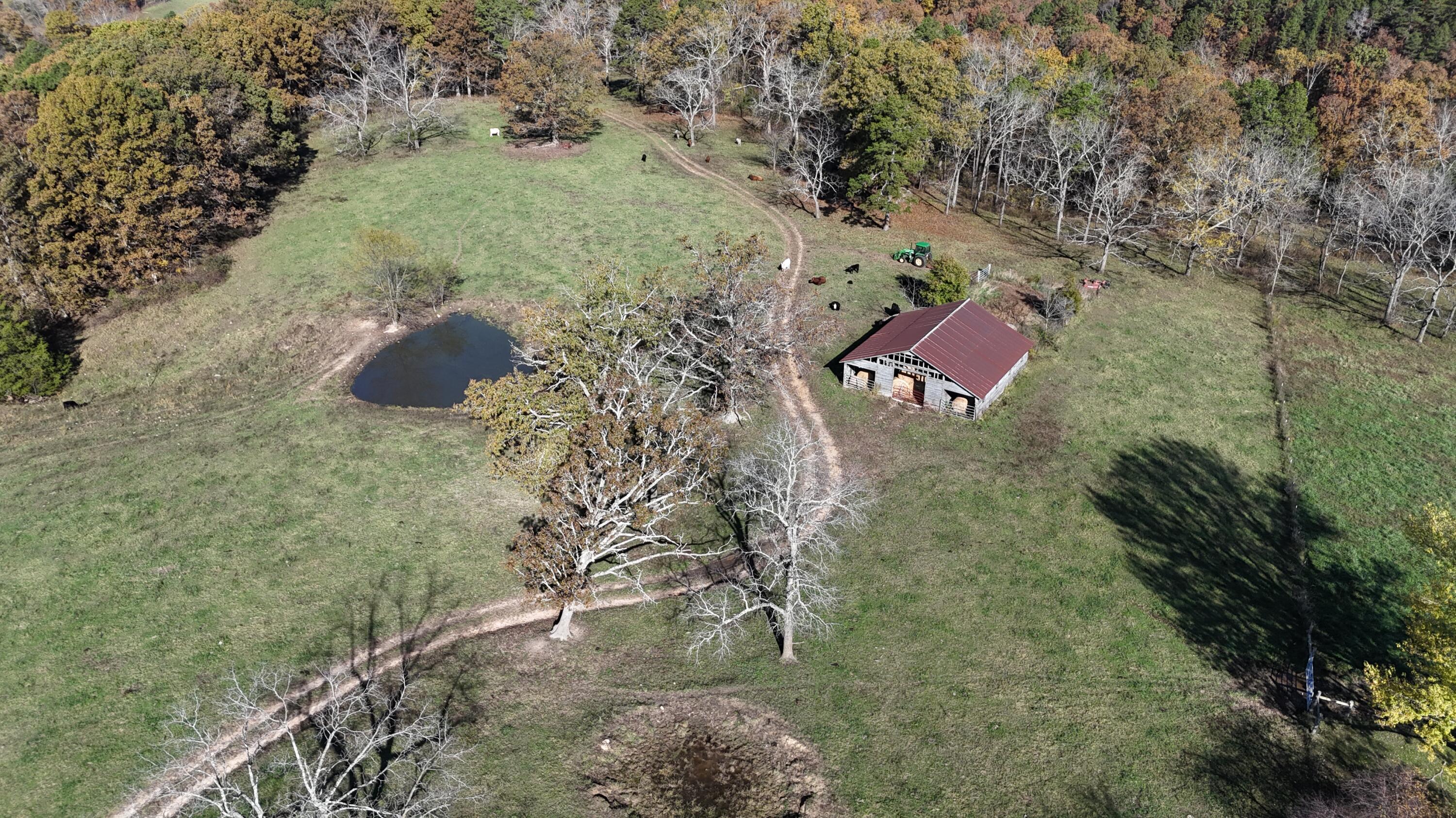 Photo 39 - Farm for sale – 205  County Road 6550   Salem, MO