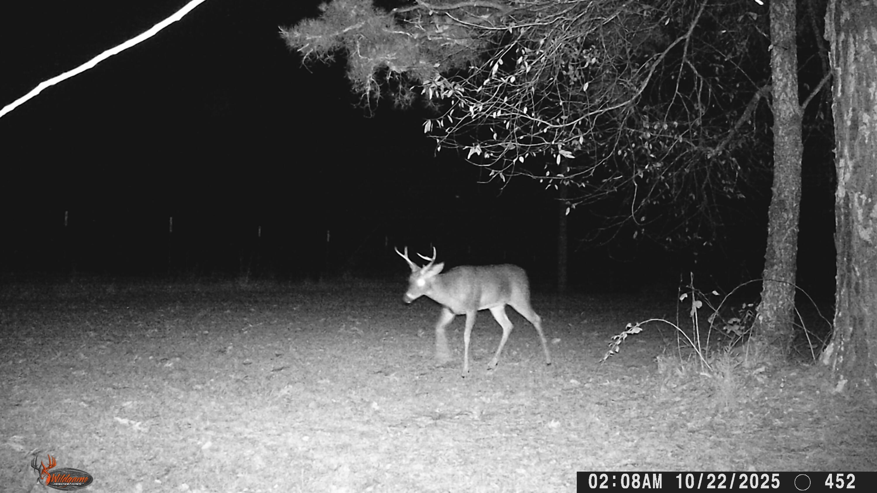 Photo 76 - Farm for sale – 205  County Road 6550   Salem, MO