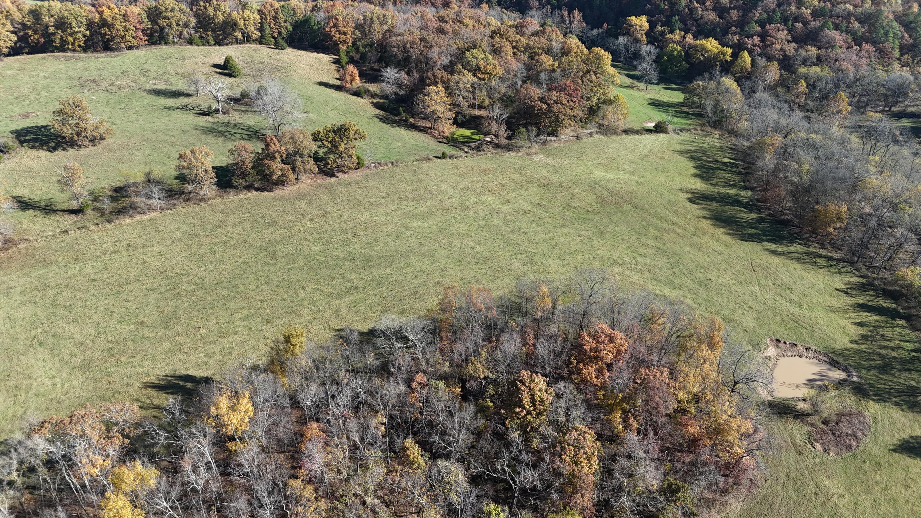Photo 43 - Farm for sale – 205  County Road 6550   Salem, MO