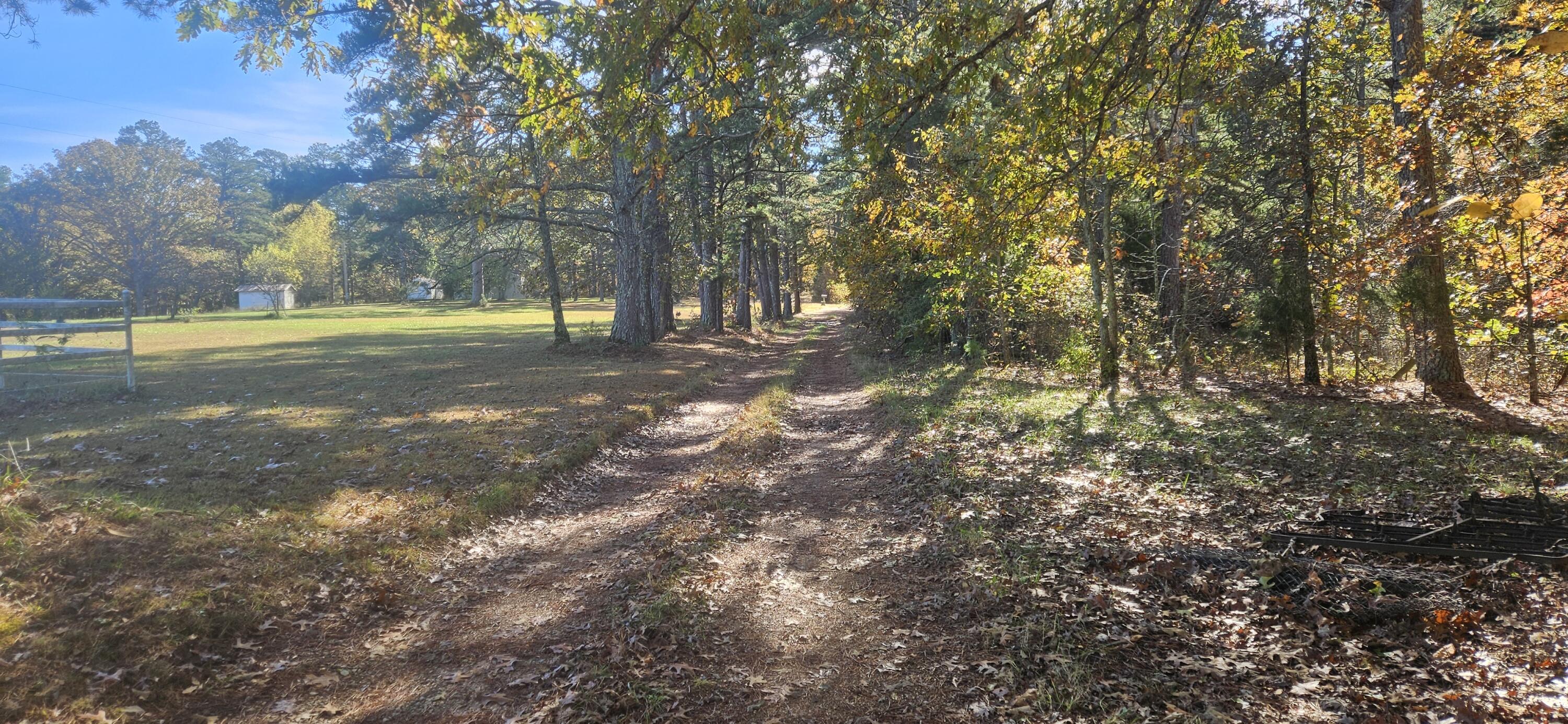 Photo 8 - Farm for sale – 205  County Road 6550   Salem, MO
