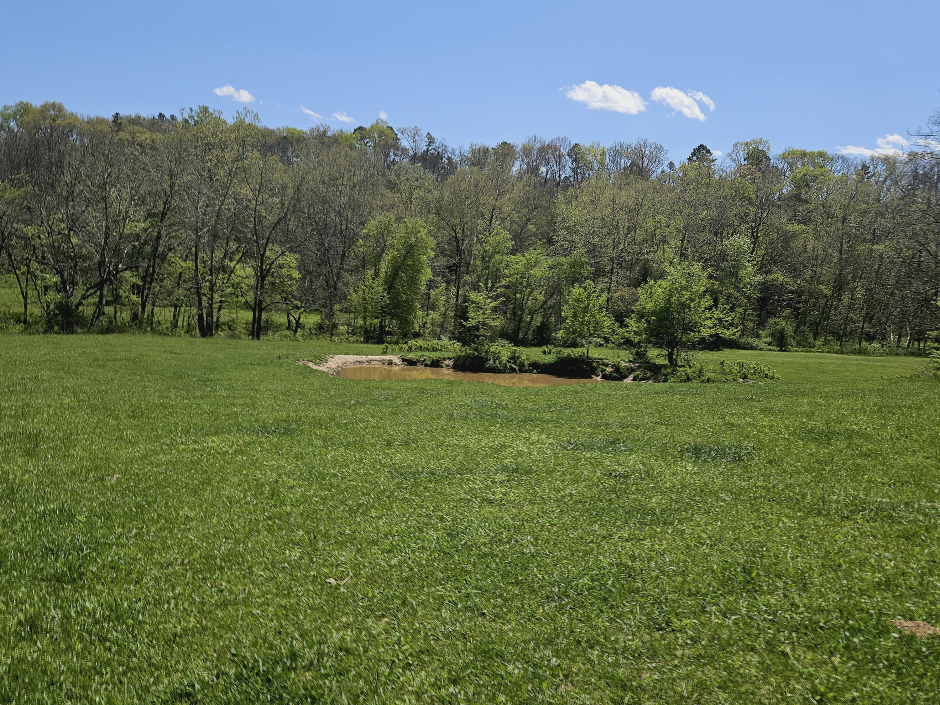 Photo 4 - Farm for sale – 205  County Road 6550   Salem, MO
