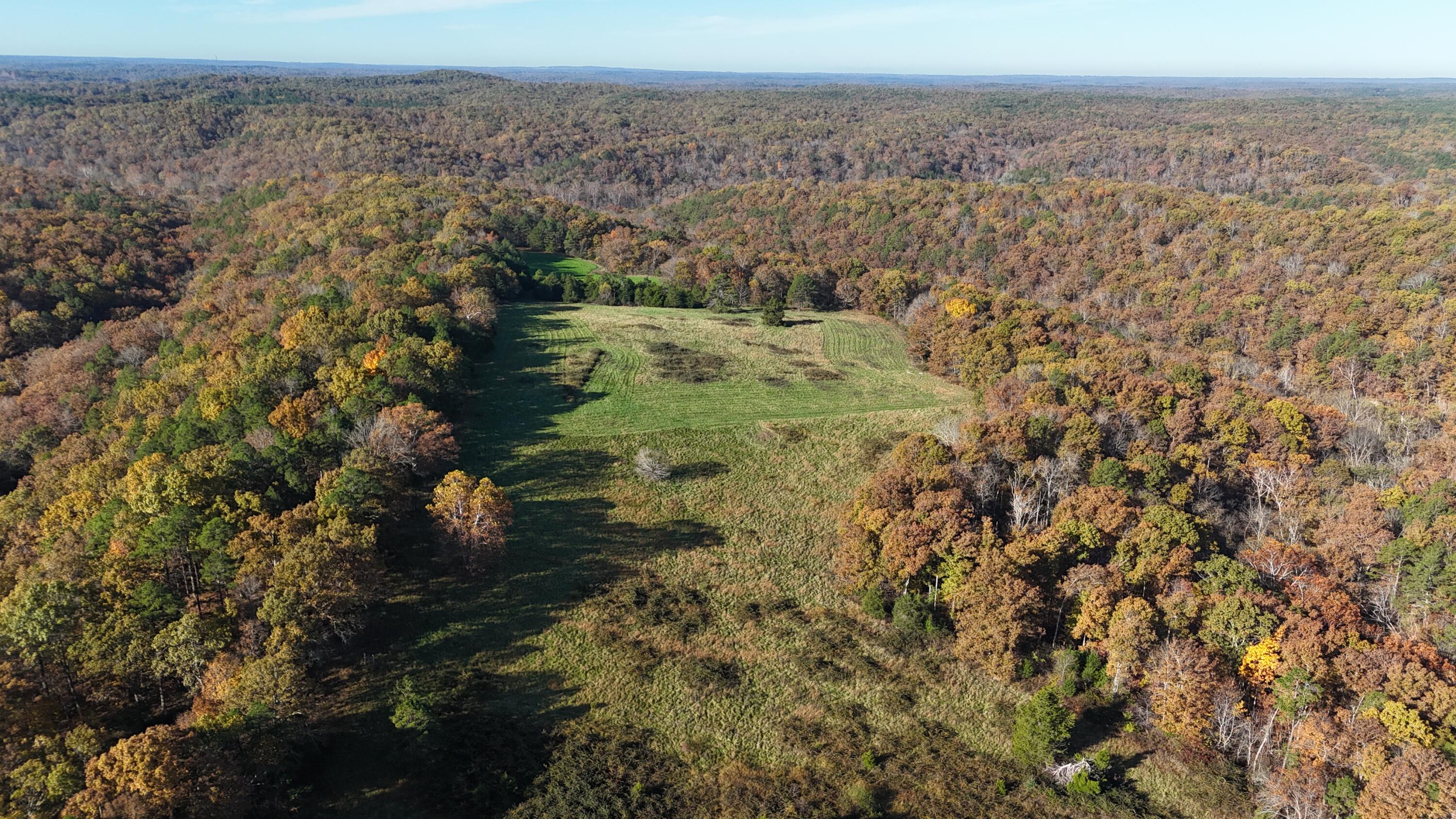 Photo 37 - Farm for sale – 205  County Road 6550   Salem, MO