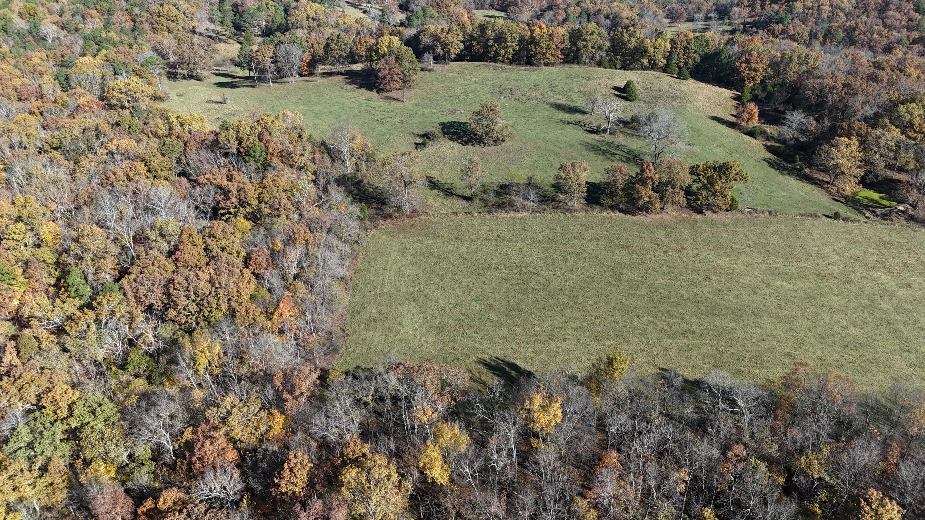 Photo 50 - Farm for sale – 205  County Road 6550   Salem, MO