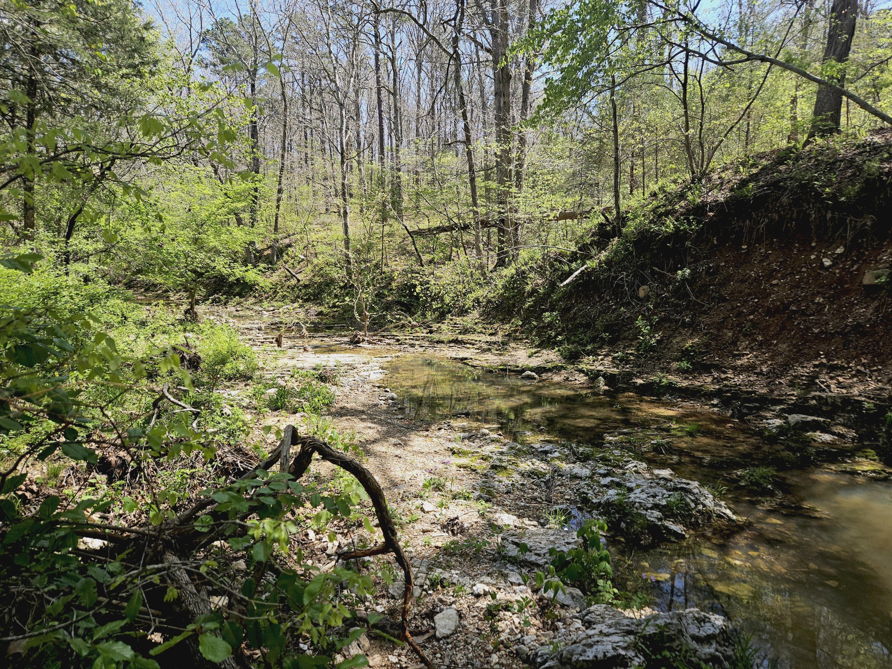 Photo 86 - Farm for sale – 205  County Road 6550   Salem, MO