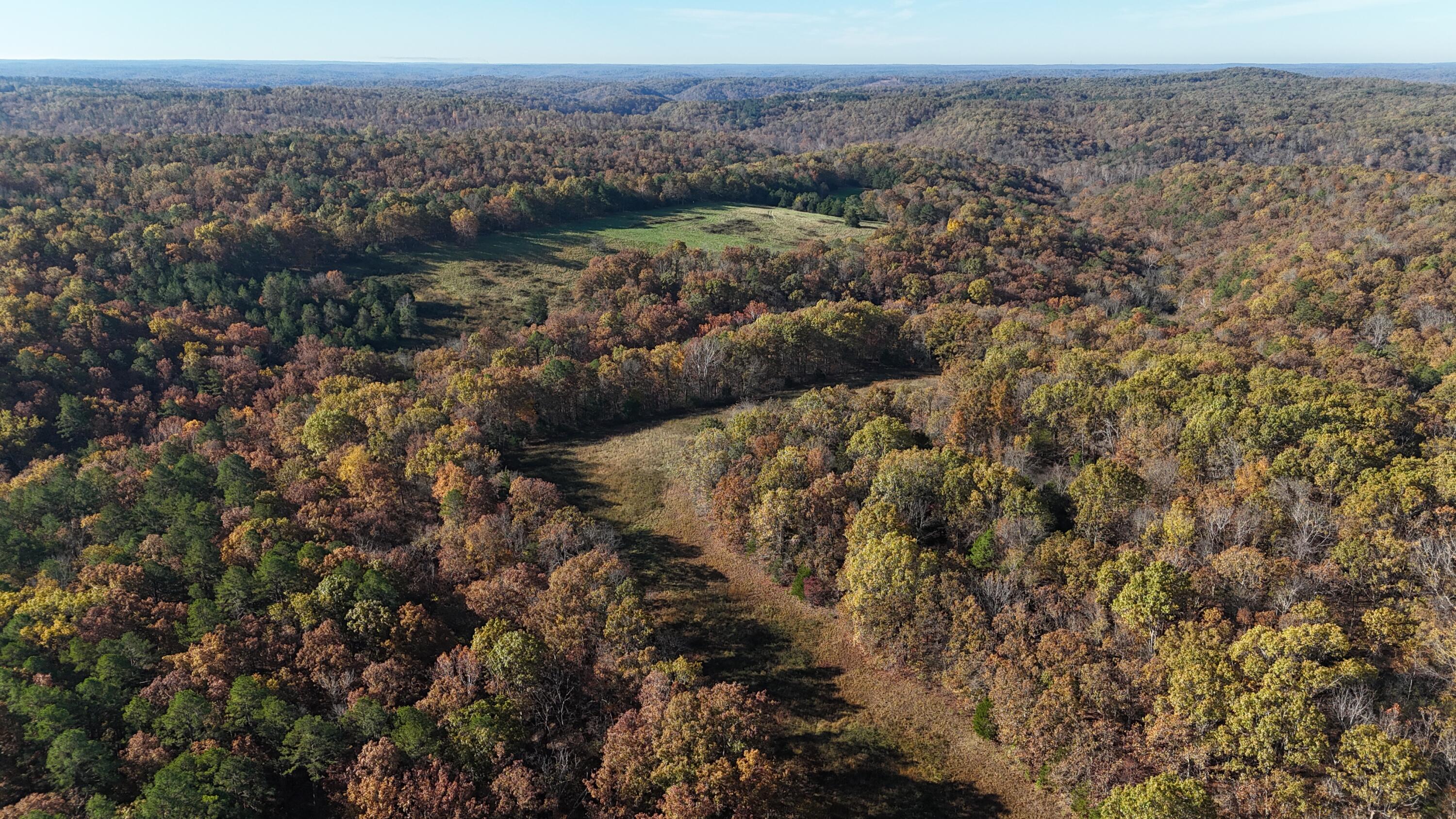 Photo 49 - Farm for sale – 205  County Road 6550   Salem, MO