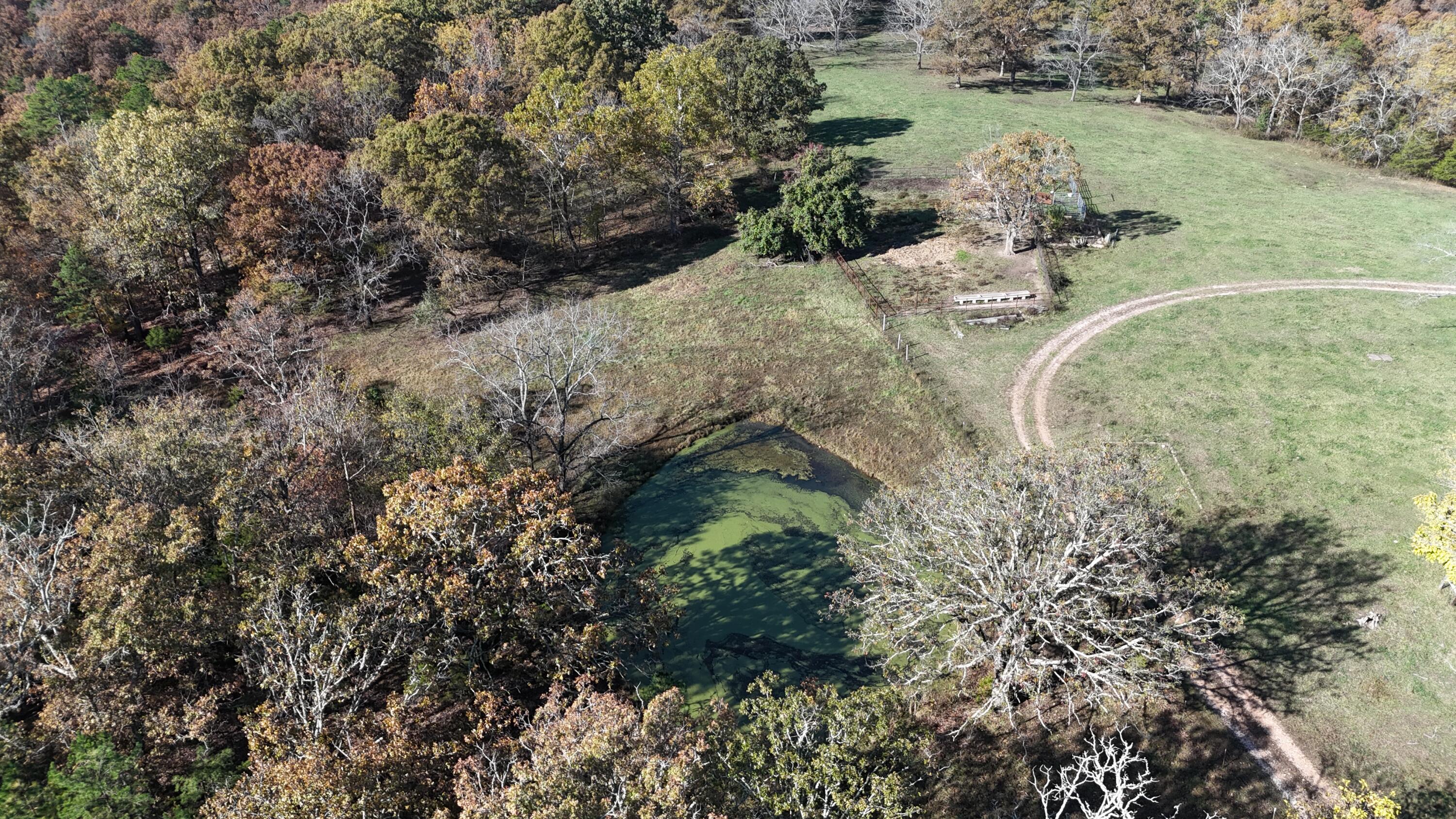 Photo 48 - Farm for sale – 205  County Road 6550   Salem, MO