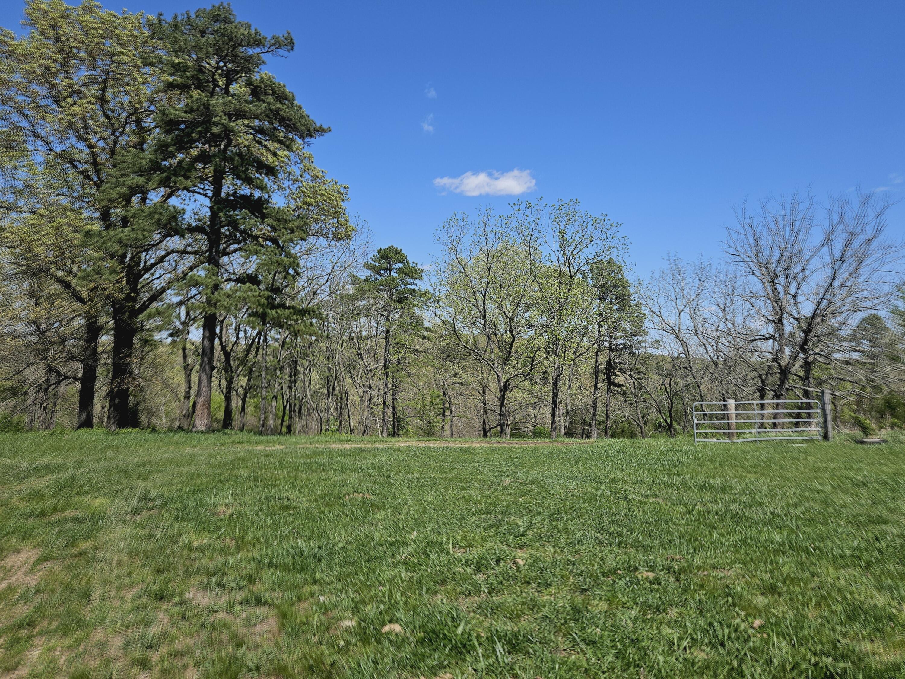 Photo 6 - Farm for sale – 205  County Road 6550   Salem, MO