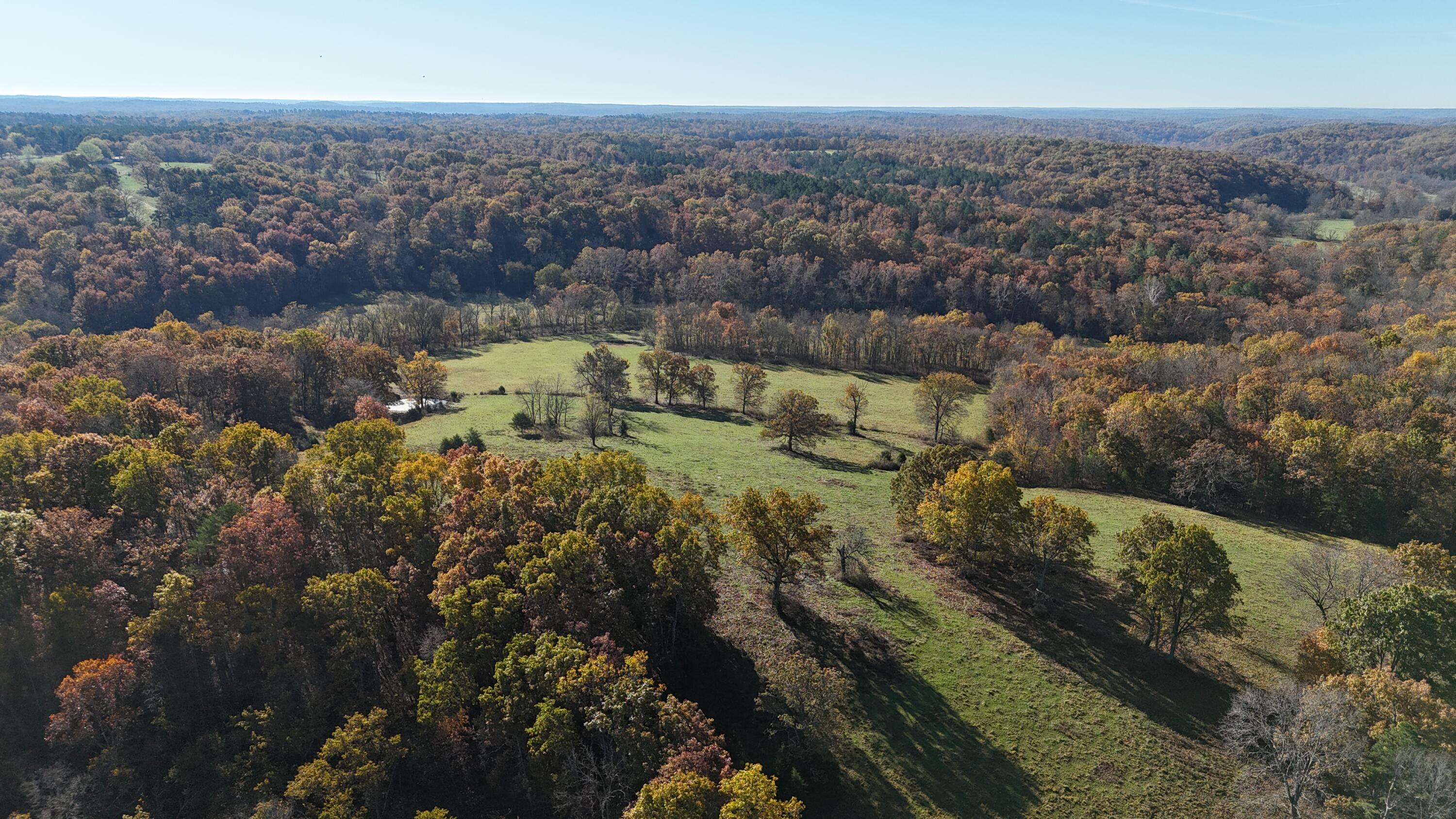 Photo 46 - Farm for sale – 205  County Road 6550   Salem, MO
