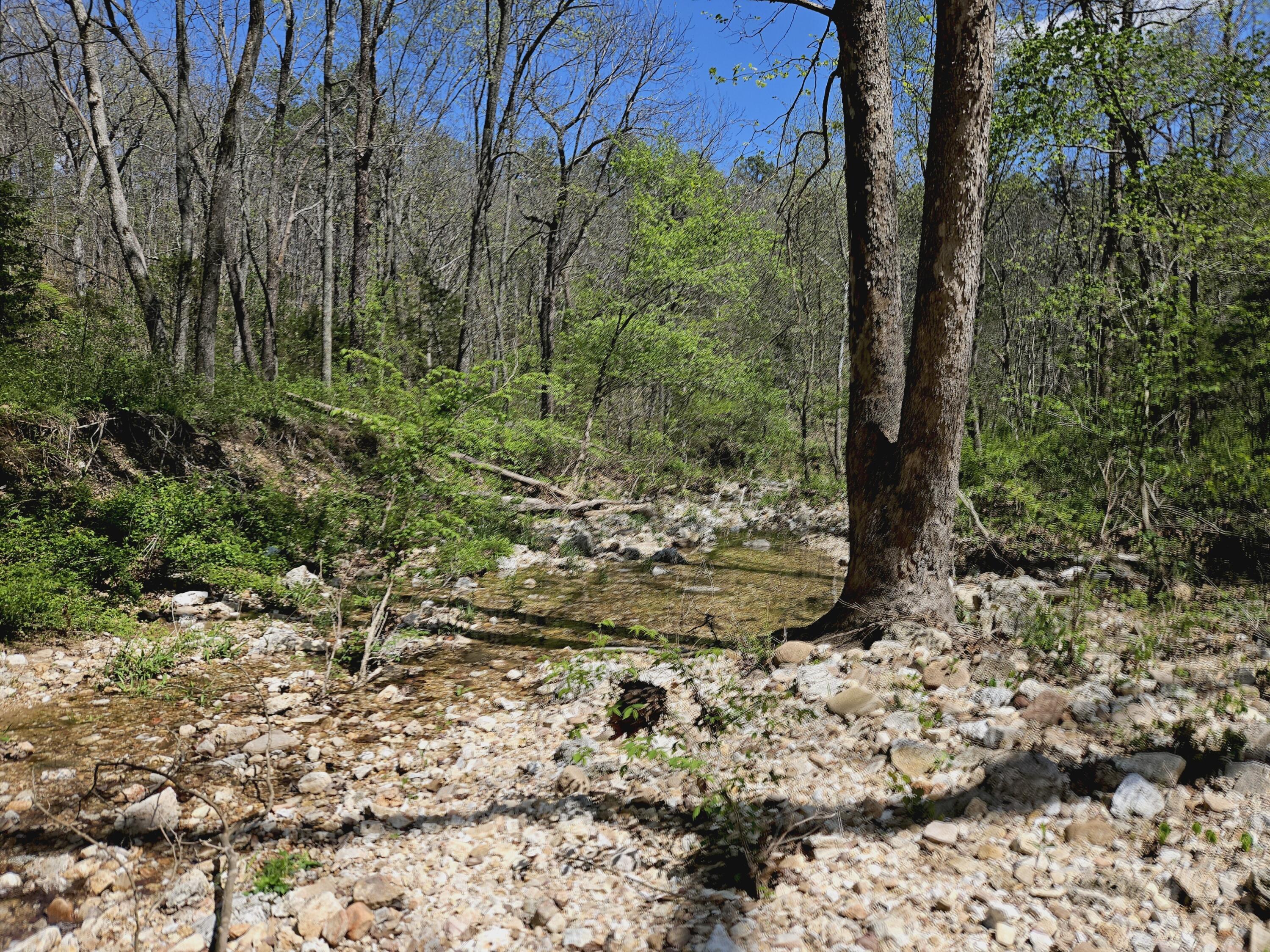 Photo 87 - Farm for sale – 205  County Road 6550   Salem, MO