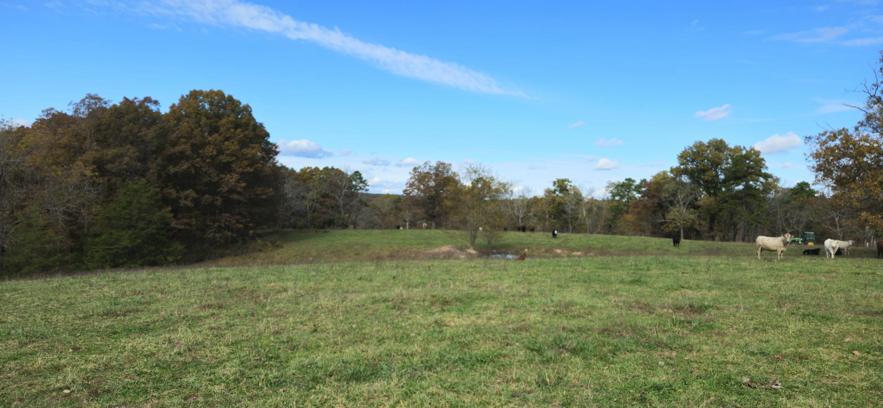 Photo 53 - Farm for sale – 205  County Road 6550   Salem, MO