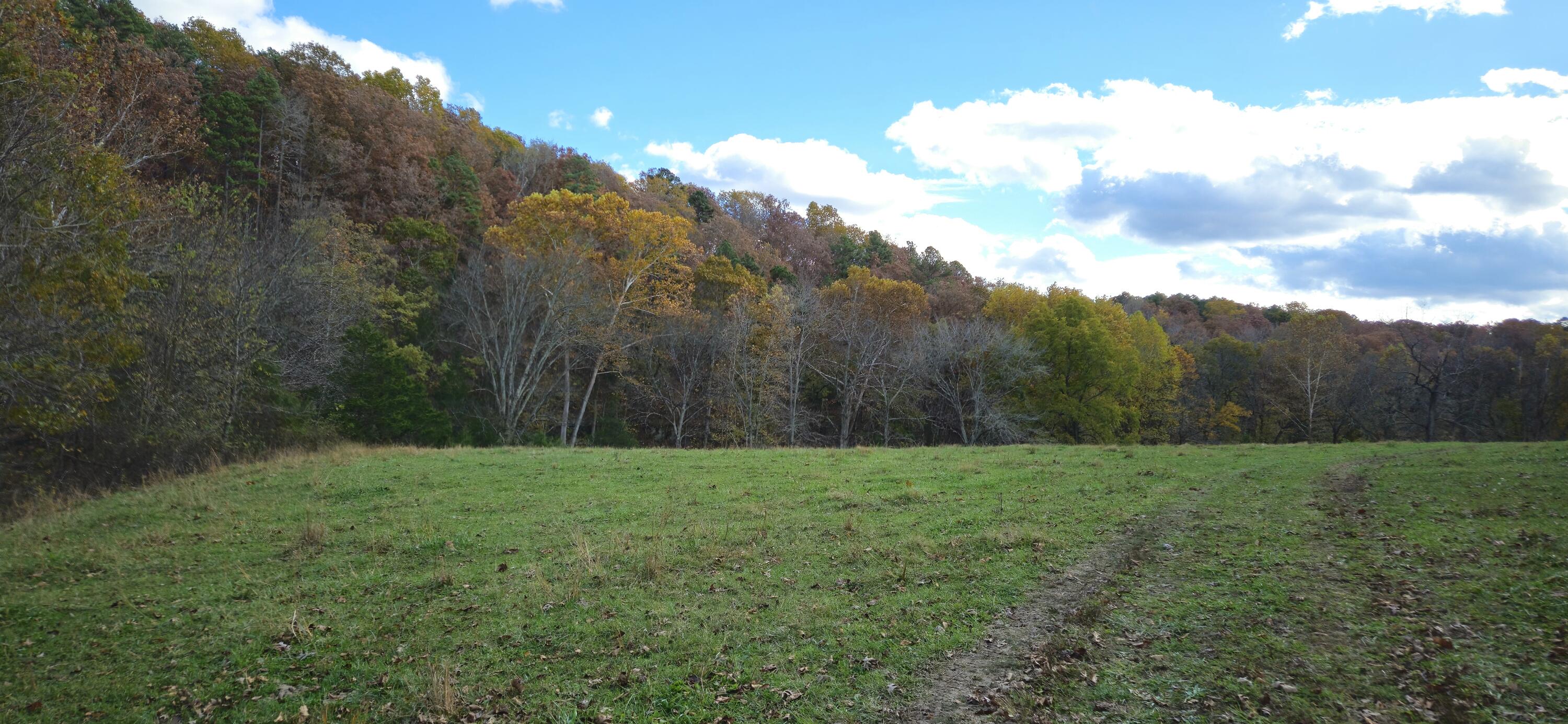 Photo 54 - Farm for sale – 205  County Road 6550   Salem, MO