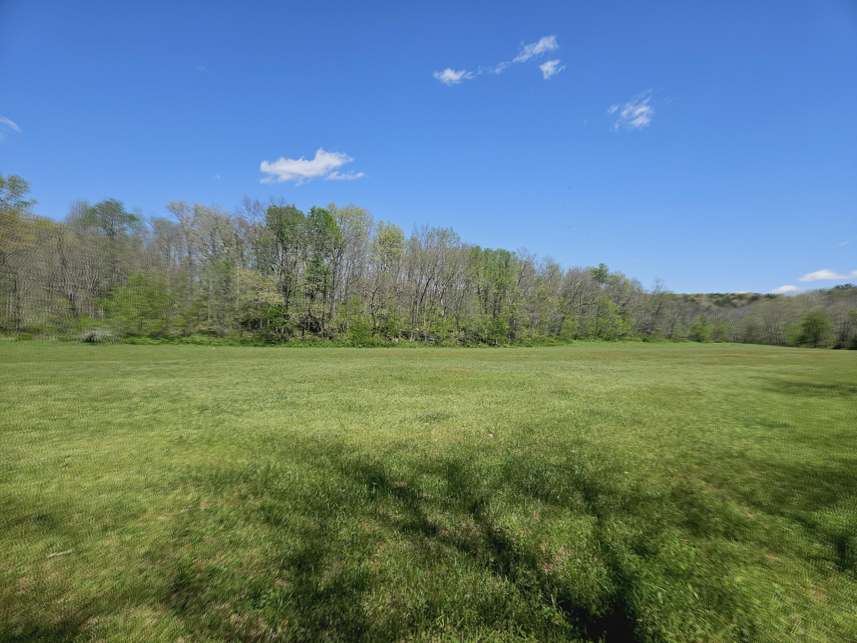 Photo 3 - Farm for sale – 205  County Road 6550   Salem, MO