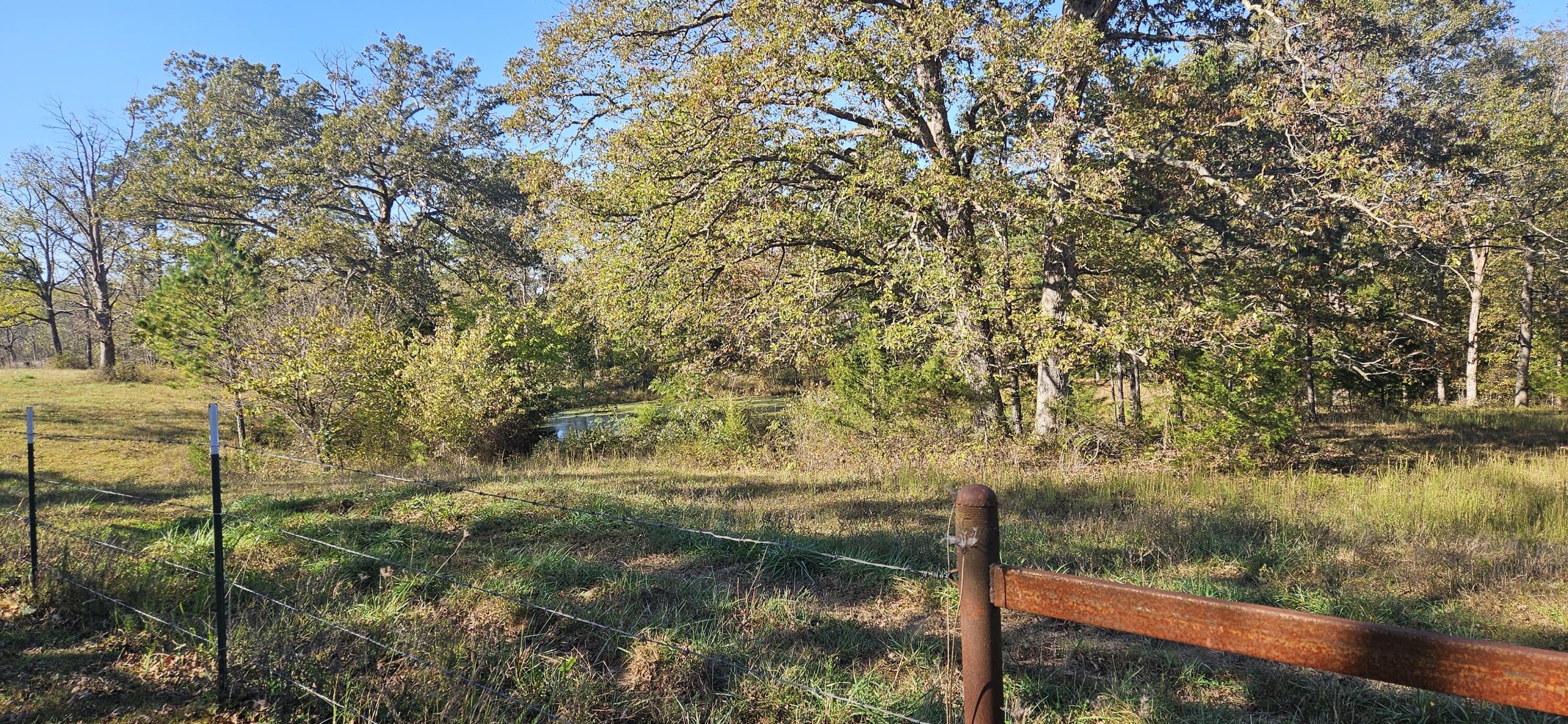 Photo 73 - Farm for sale – 205  County Road 6550   Salem, MO