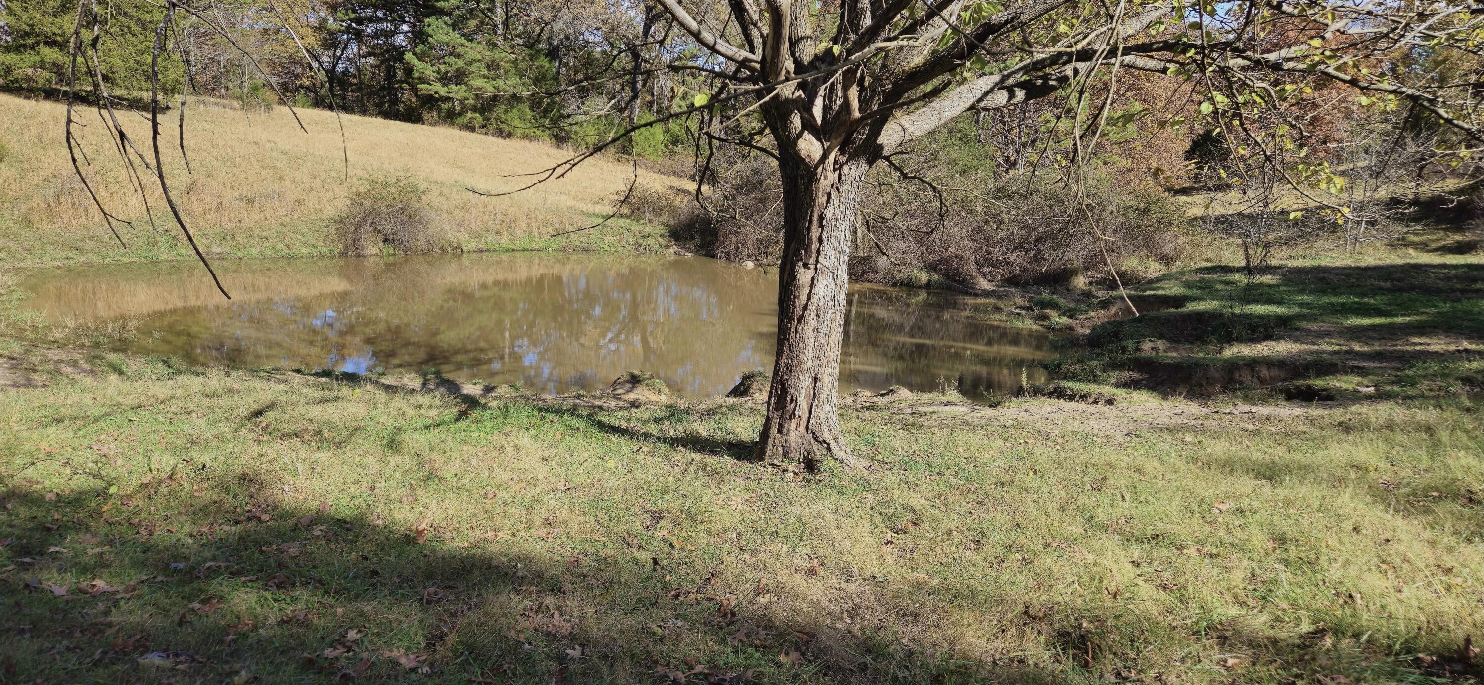 Photo 74 - Farm for sale – 205  County Road 6550   Salem, MO