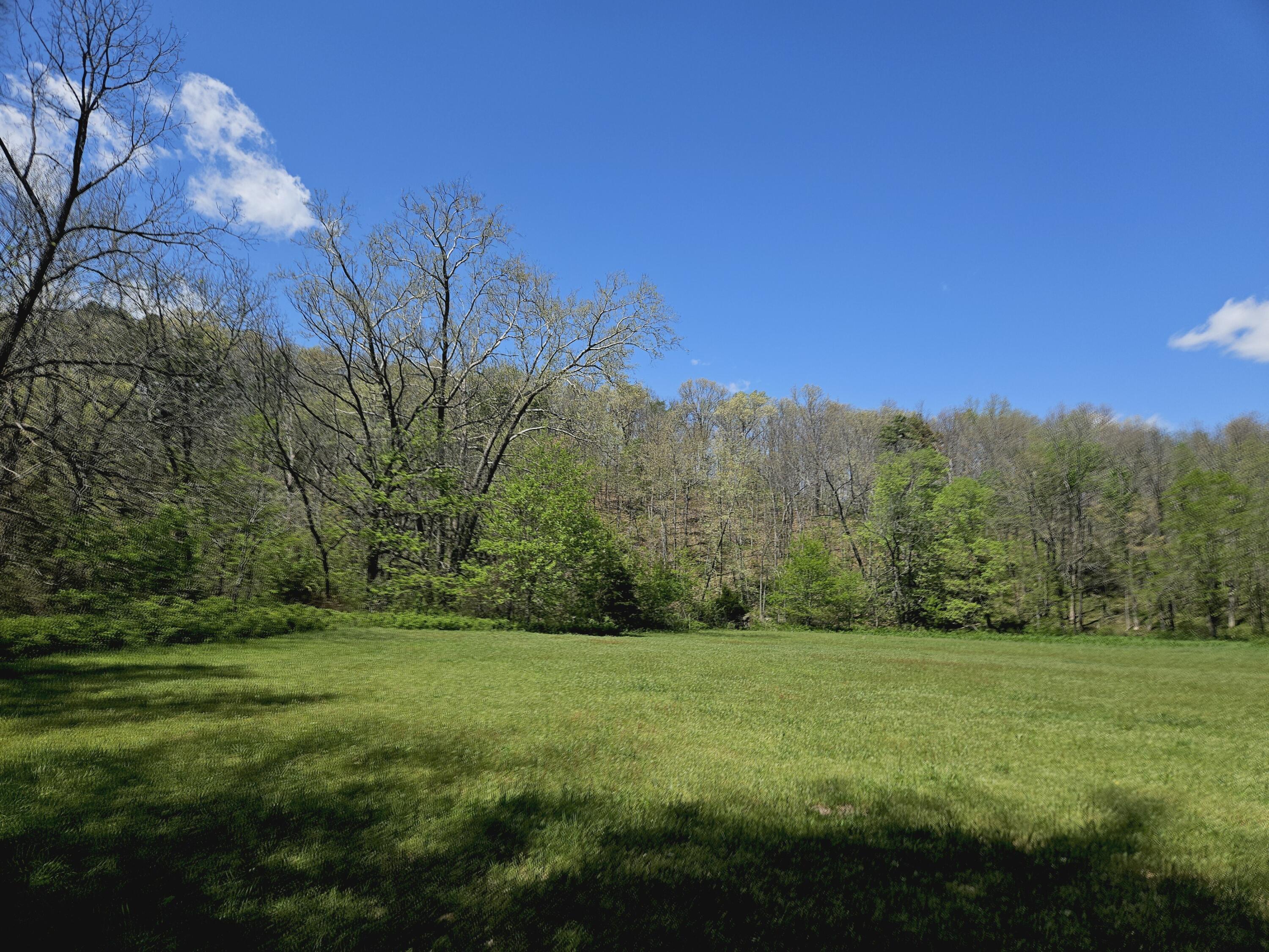 Photo 5 - Farm for sale – 205  County Road 6550   Salem, MO